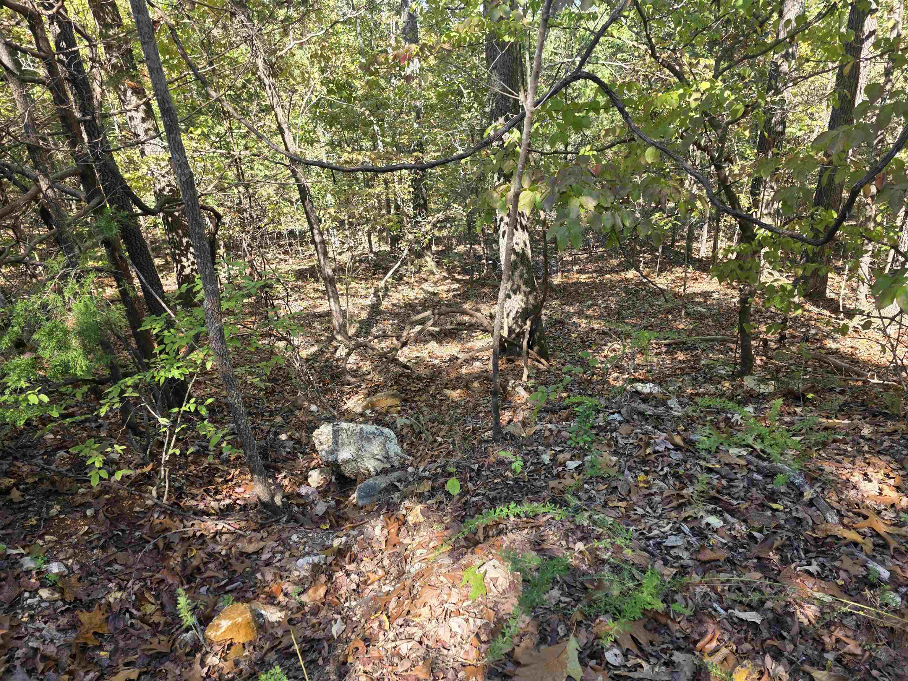 Photo 11 - Vacant Land for sale – L10B4  Clatsop   Cherokee Village, AR