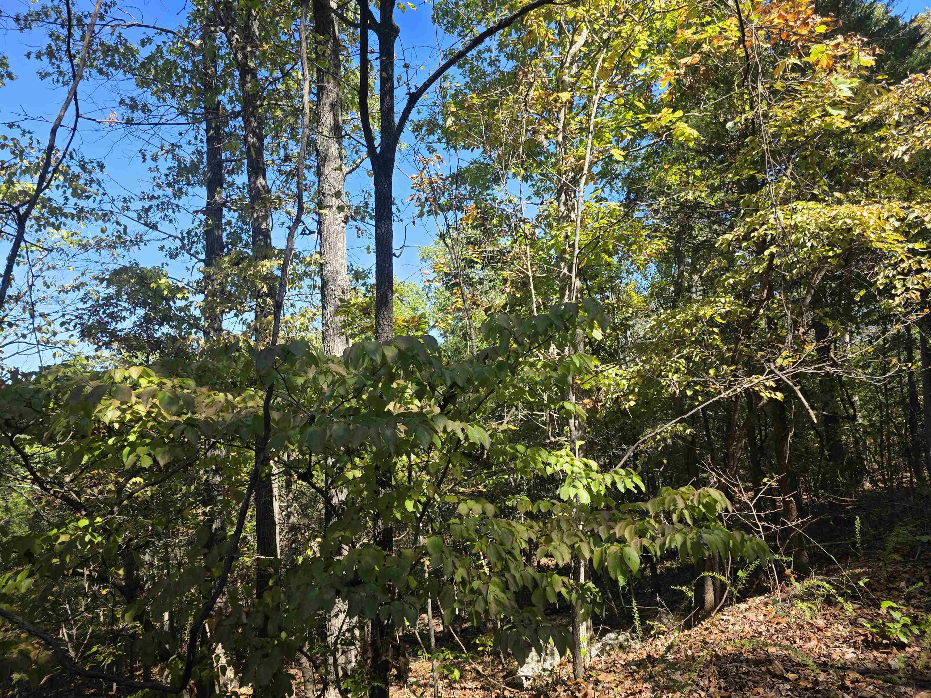 Photo 13 - Vacant Land for sale – L10B4  Clatsop   Cherokee Village, AR