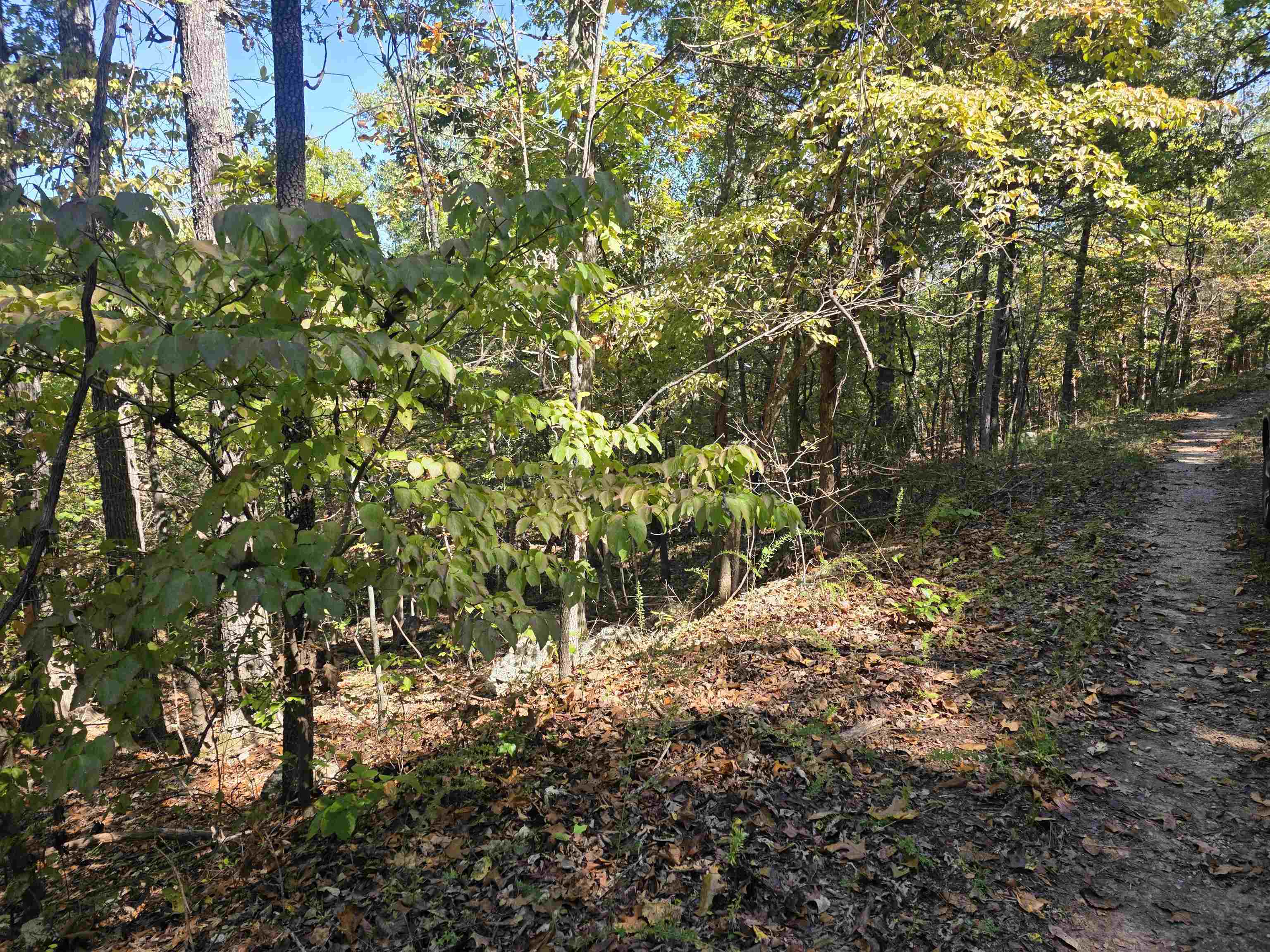 Photo 14 - Vacant Land for sale – L10B4  Clatsop   Cherokee Village, AR