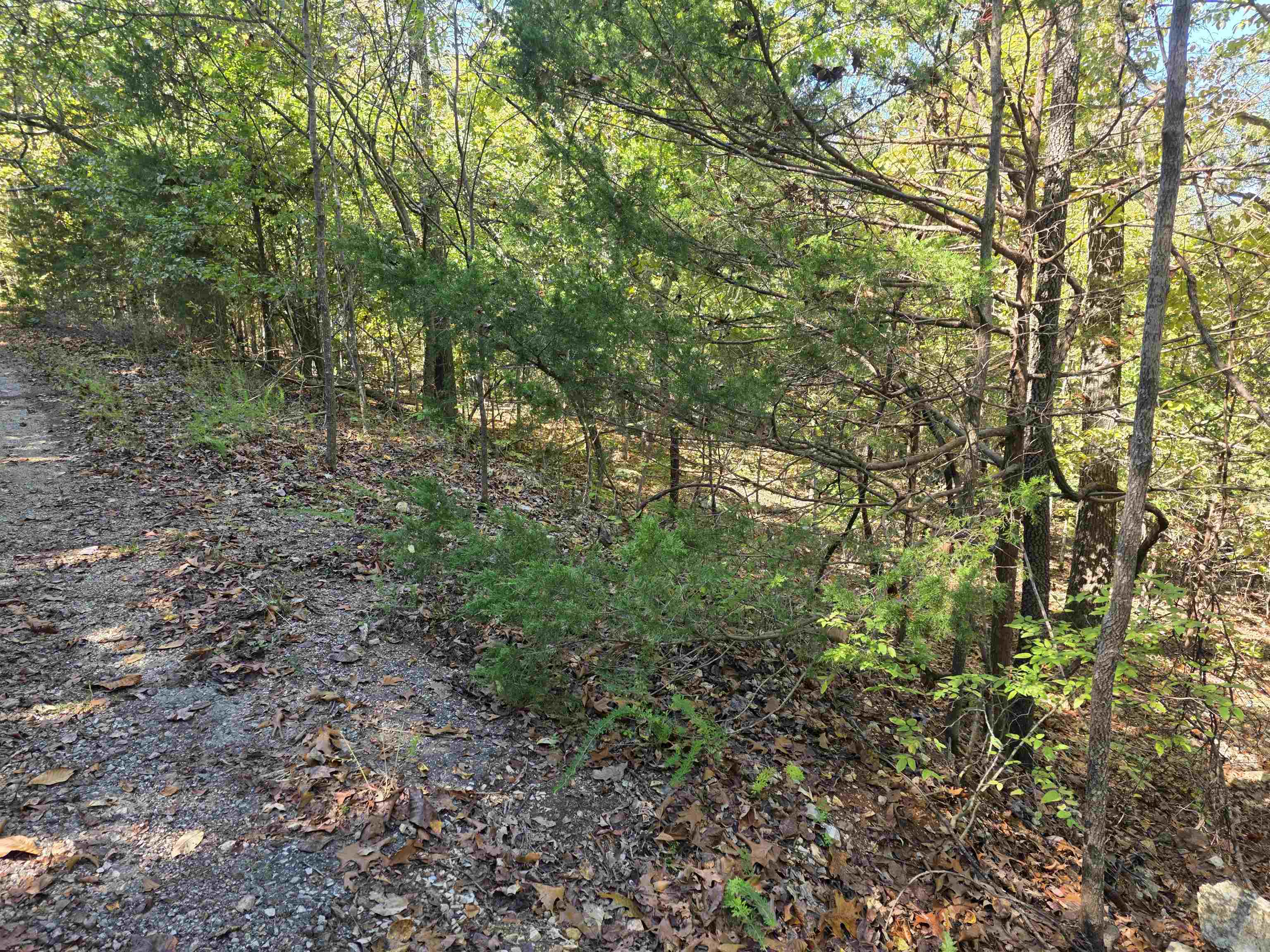 Photo 15 - Vacant Land for sale – L10B4  Clatsop   Cherokee Village, AR