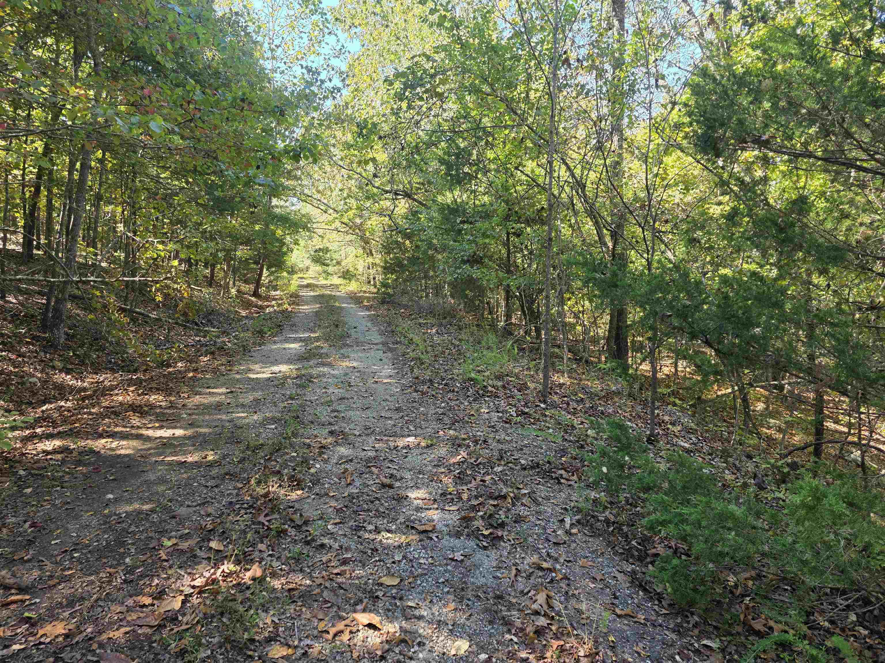 Photo 16 - Vacant Land for sale – L10B4  Clatsop   Cherokee Village, AR