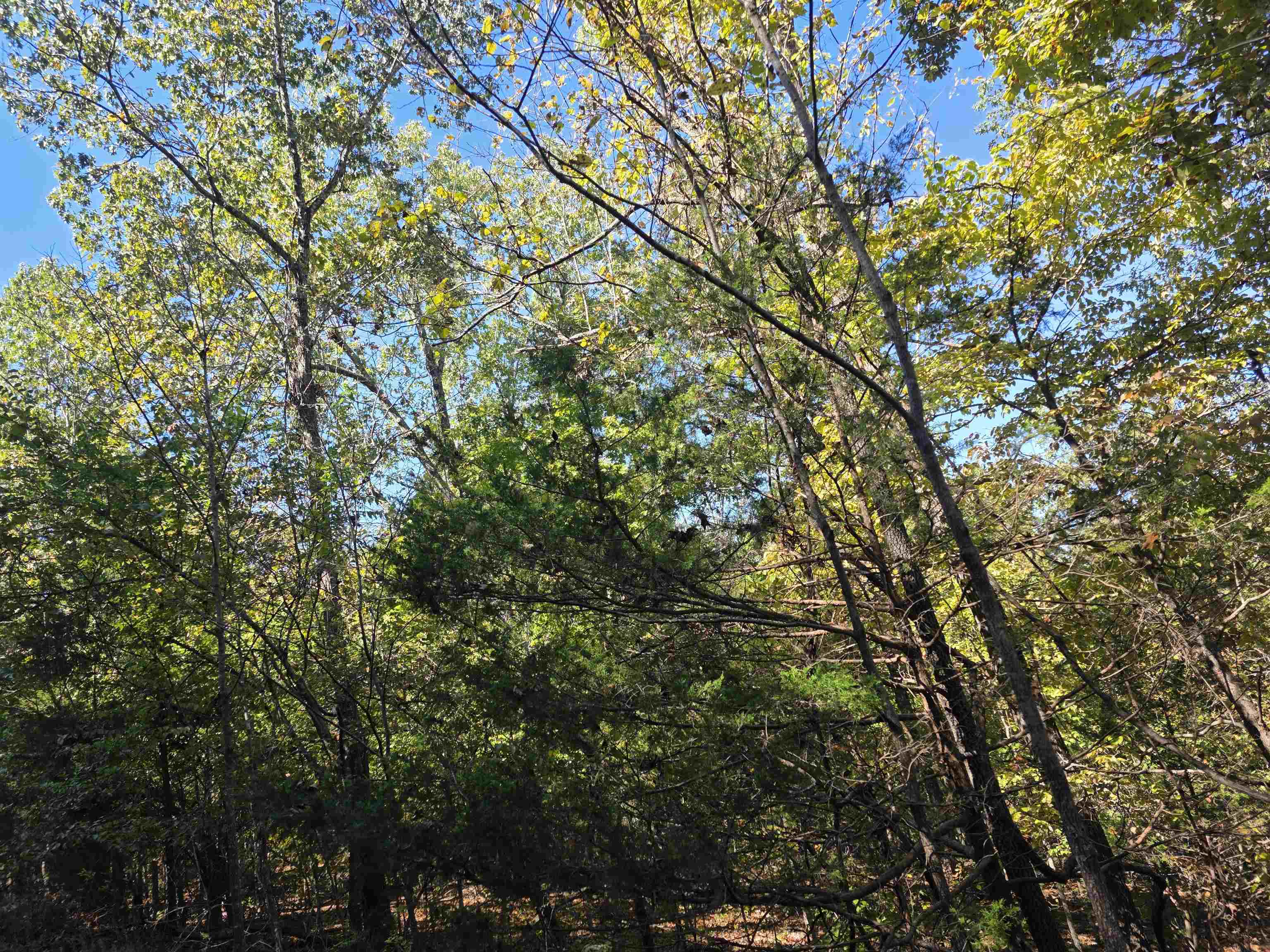 Photo 17 - Vacant Land for sale – L10B4  Clatsop   Cherokee Village, AR