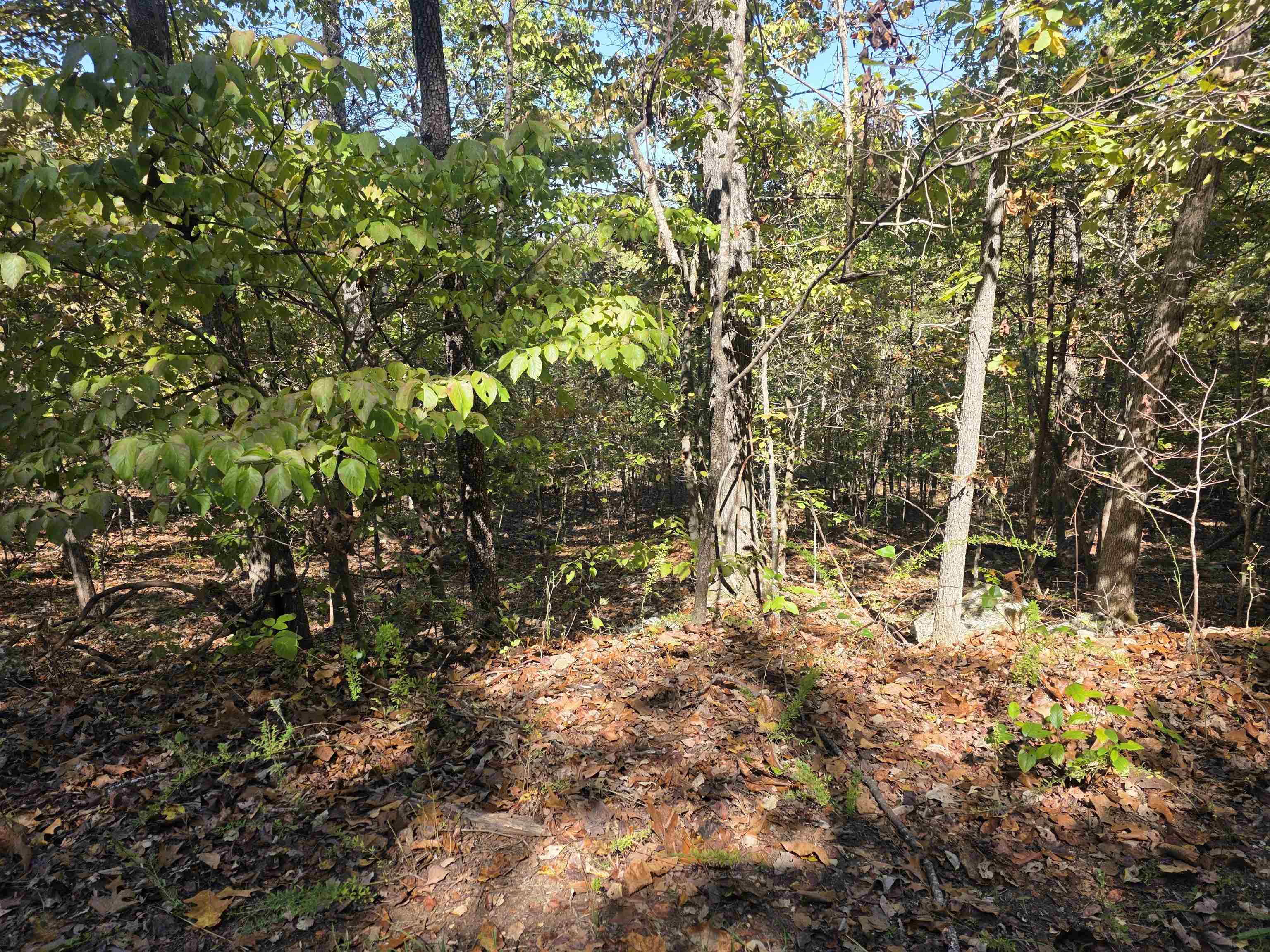 Photo 3 - Vacant Land for sale – L10B4  Clatsop   Cherokee Village, AR