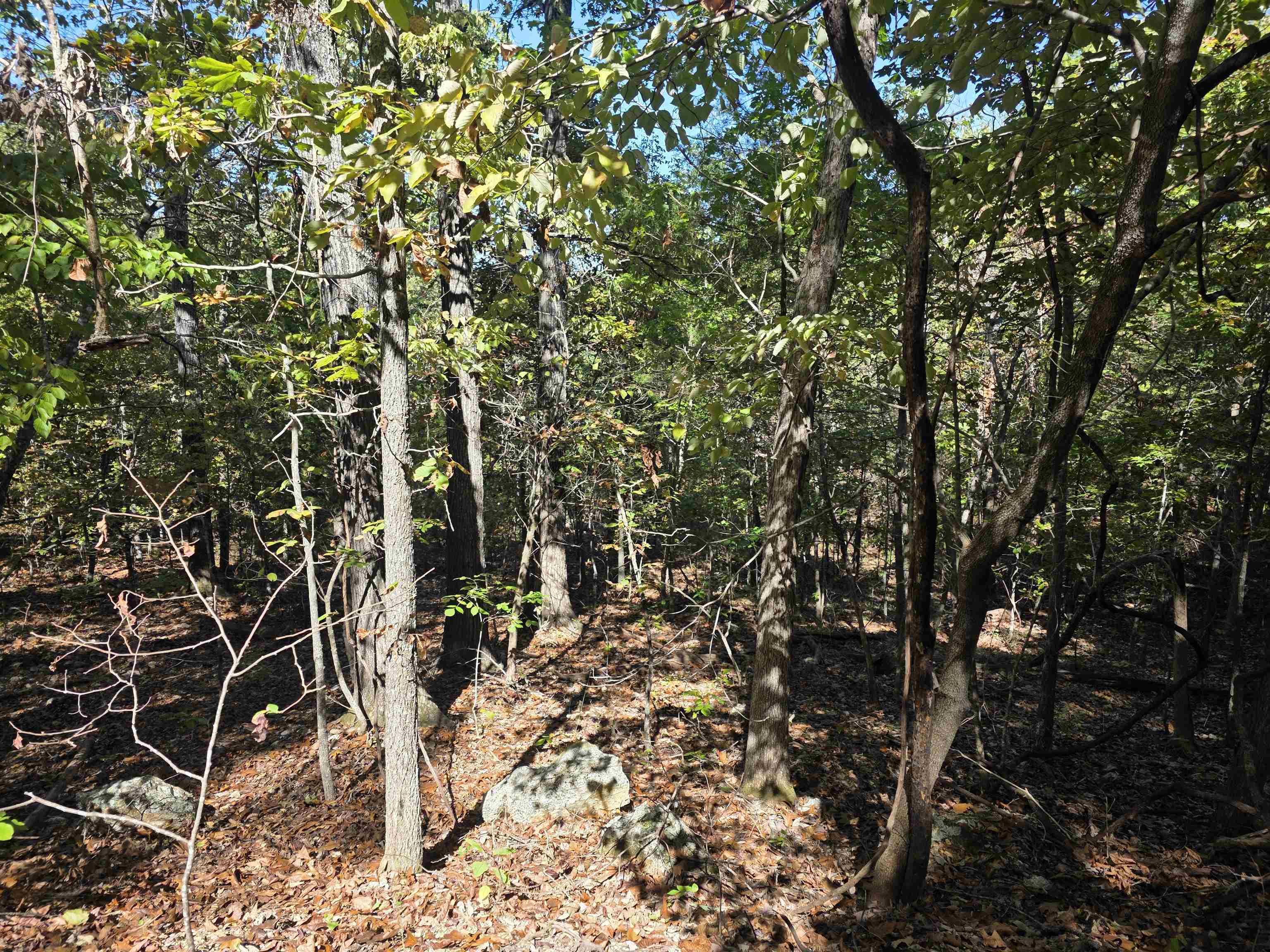 Photo 4 - Vacant Land for sale – L10B4  Clatsop   Cherokee Village, AR