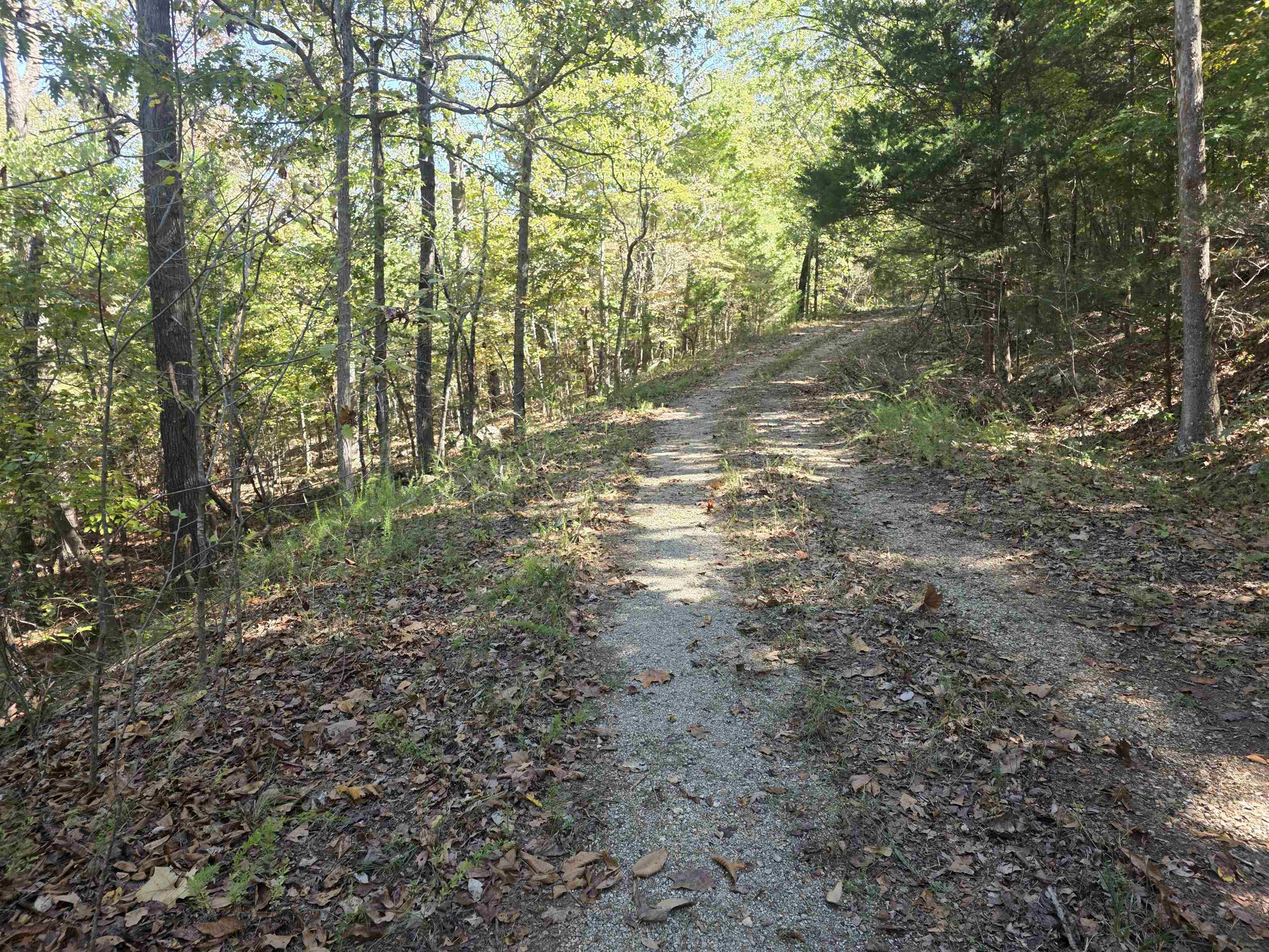 Photo 6 - Vacant Land for sale – L10B4  Clatsop   Cherokee Village, AR