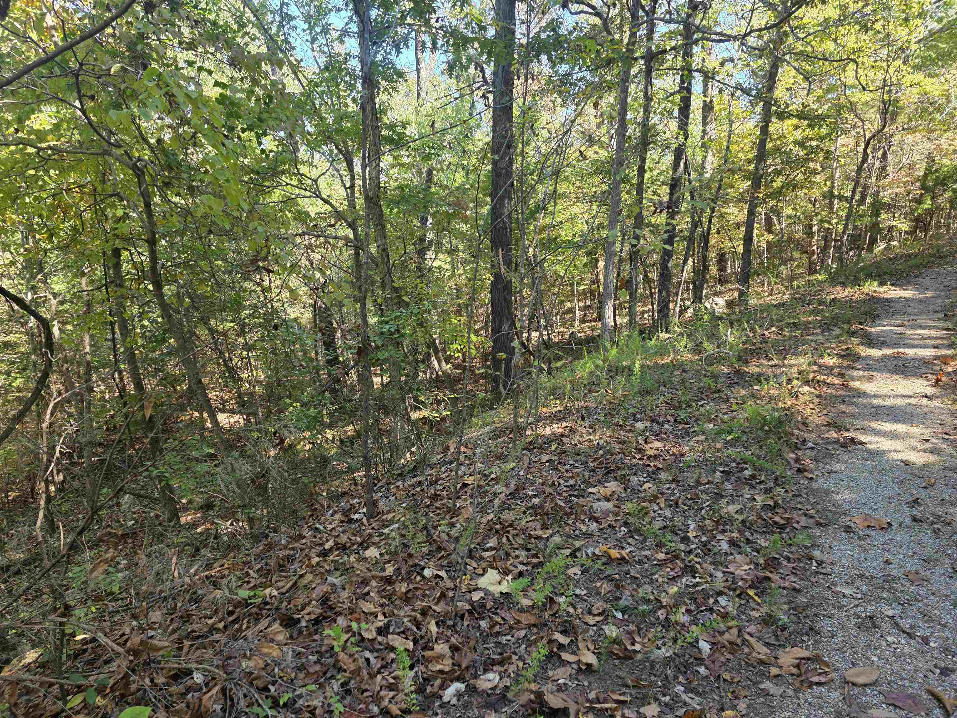 Photo 7 - Vacant Land for sale – L10B4  Clatsop   Cherokee Village, AR