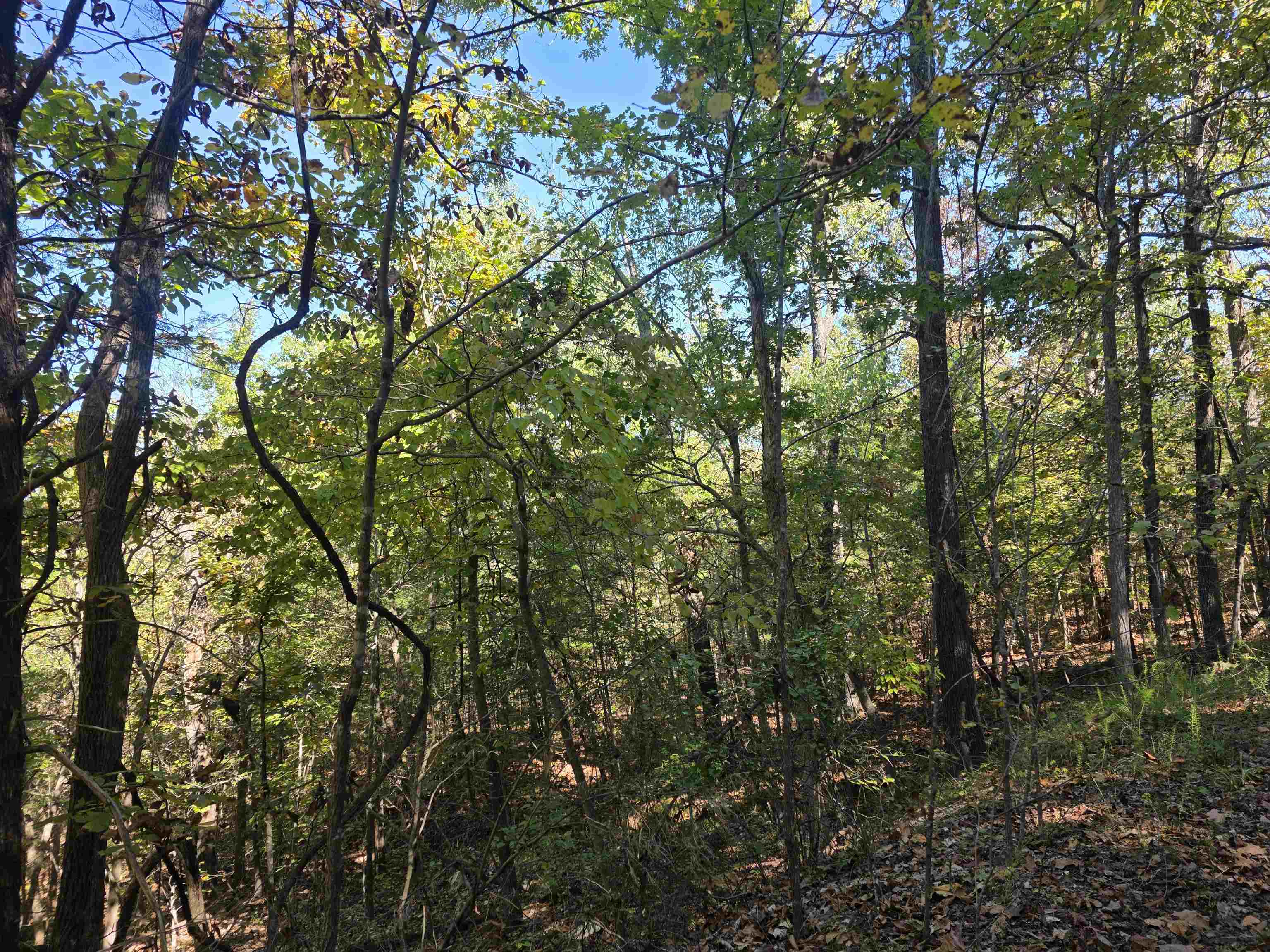 Photo 8 - Vacant Land for sale – L10B4  Clatsop   Cherokee Village, AR