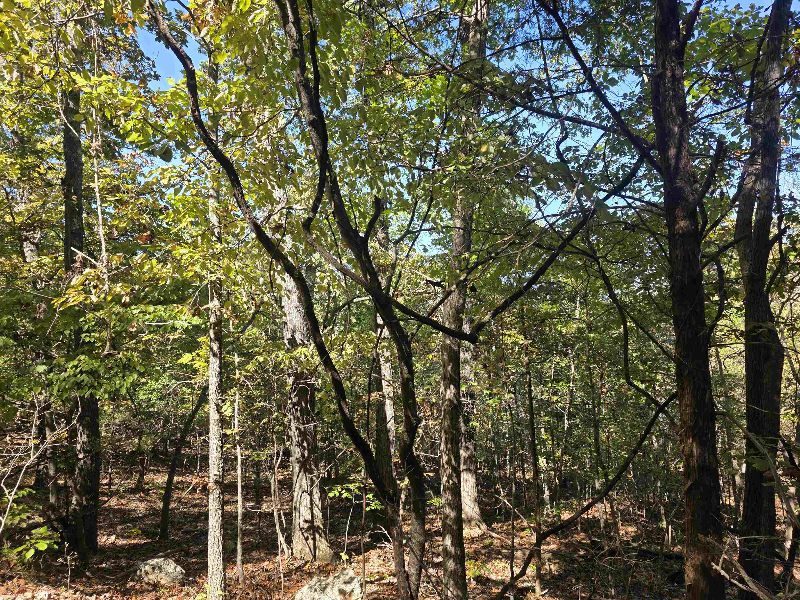 Photo 9 - Vacant Land for sale – L10B4  Clatsop   Cherokee Village, AR