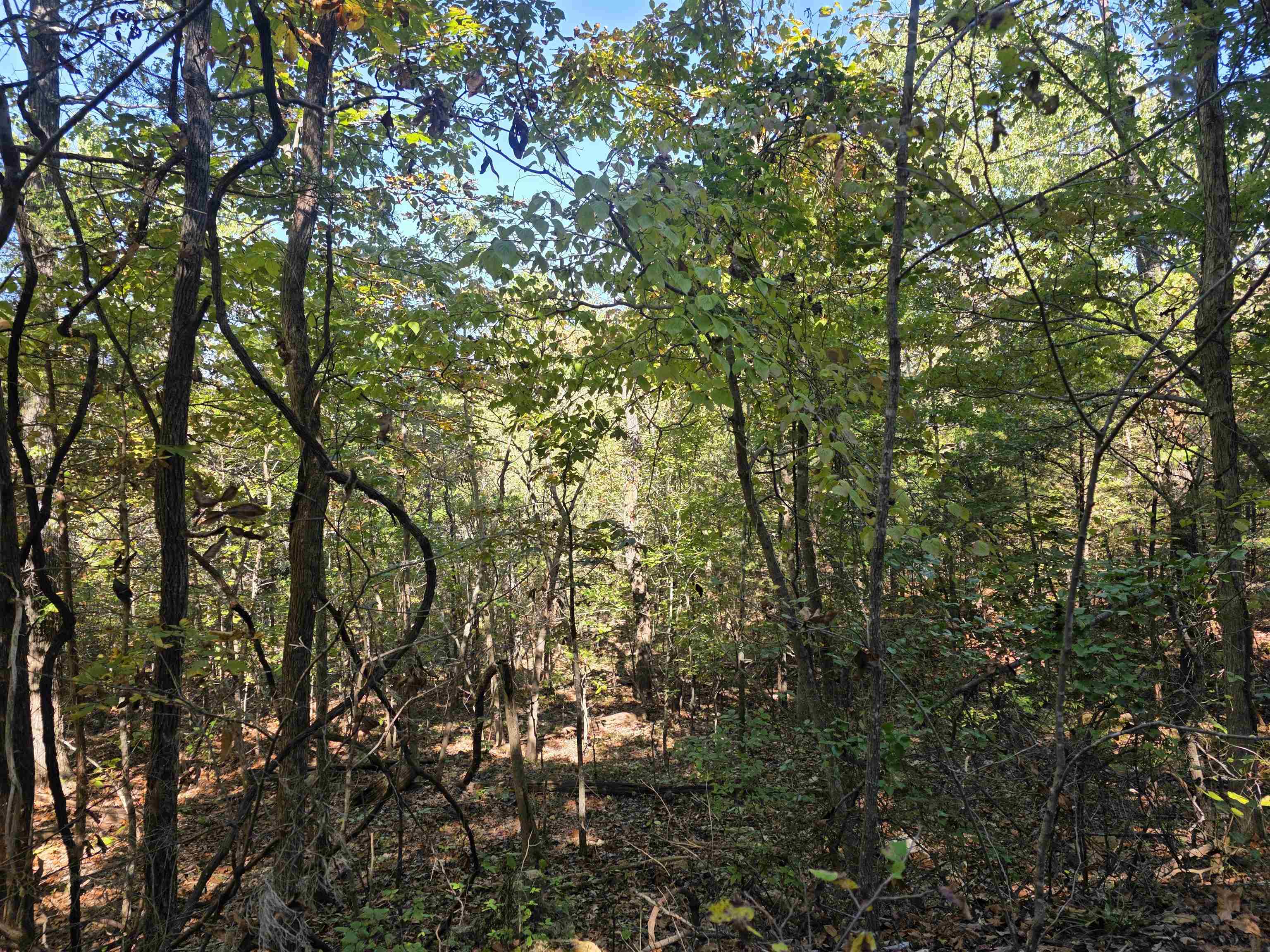 Photo 10 - Vacant Land for sale – L10B4  Clatsop   Cherokee Village, AR