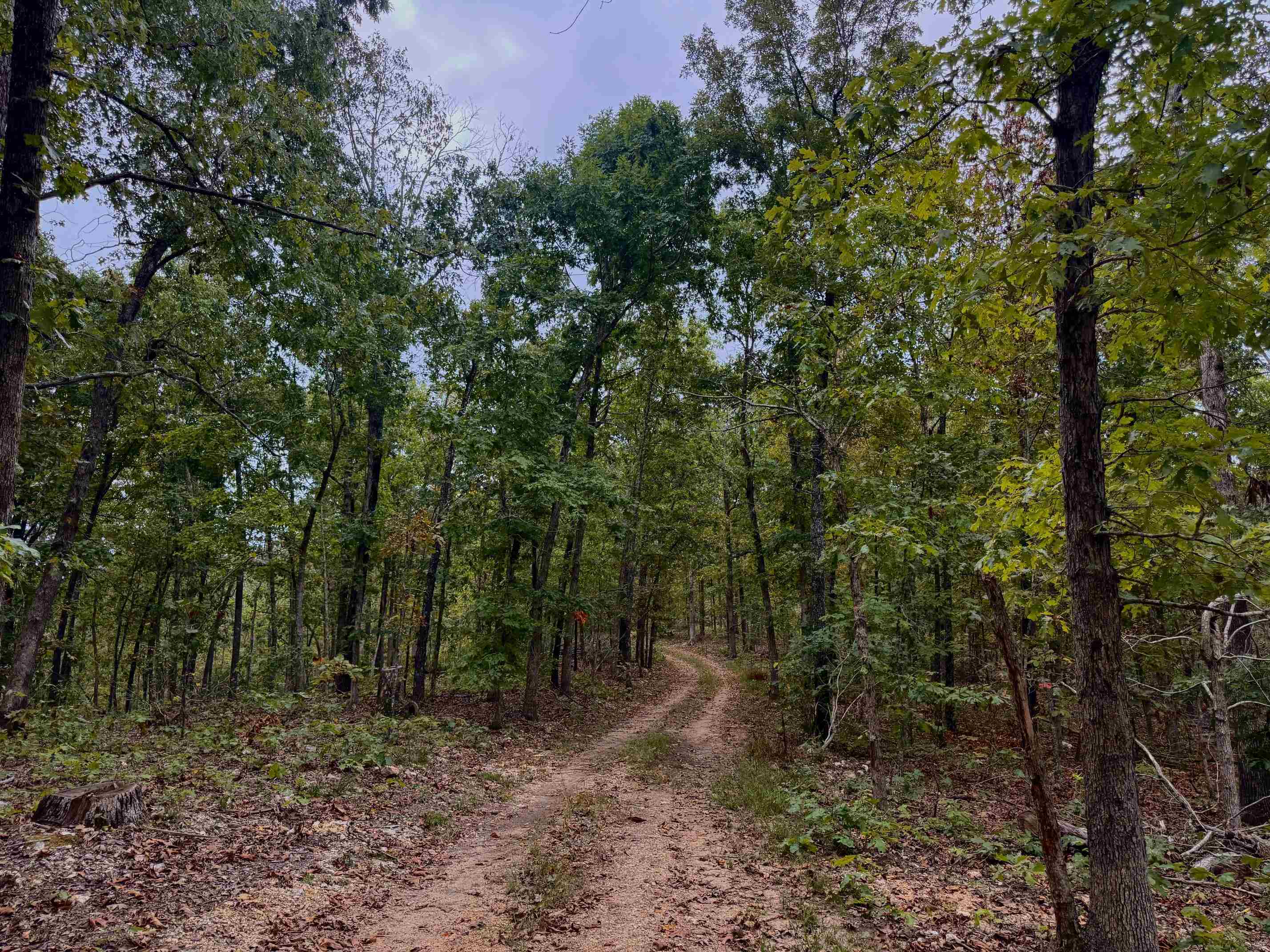 Vacant Land for sale – XX  Firetower   Hardy, AR