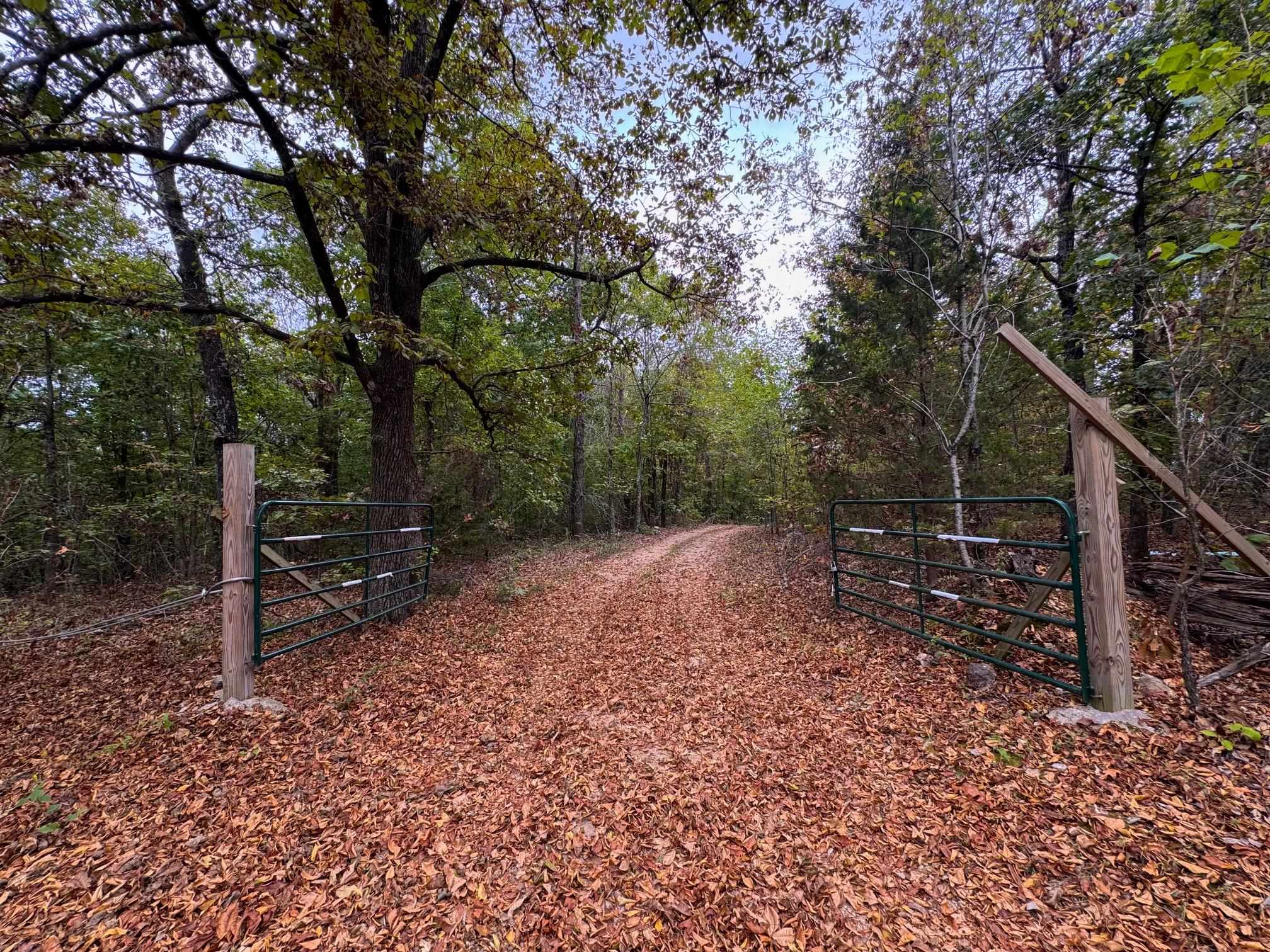 Photo 7 - Vacant Land for sale – XX  Firetower   Hardy, AR