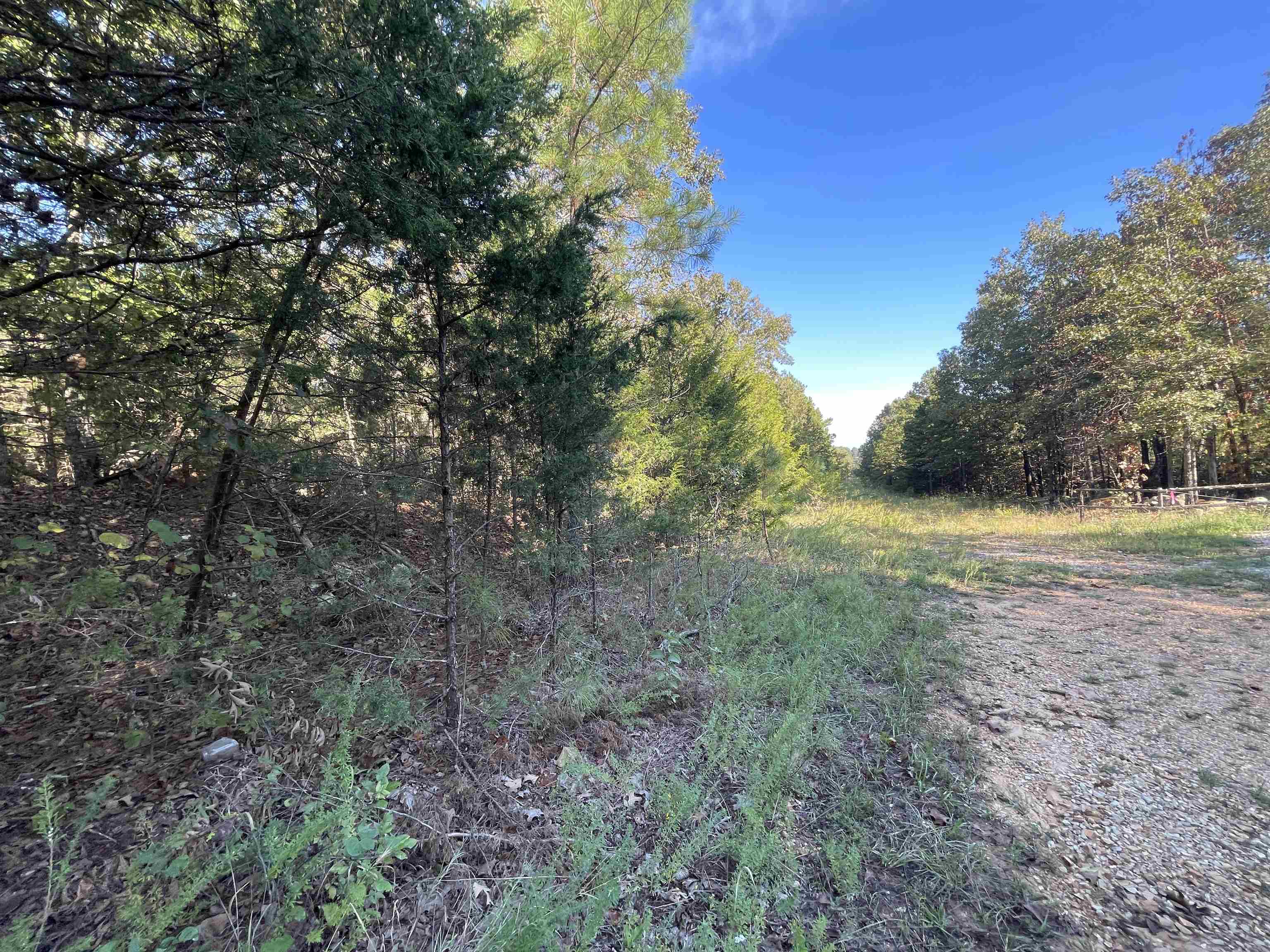 Vacant Land for sale – 0  Piney Ridge   Glencoe, AR