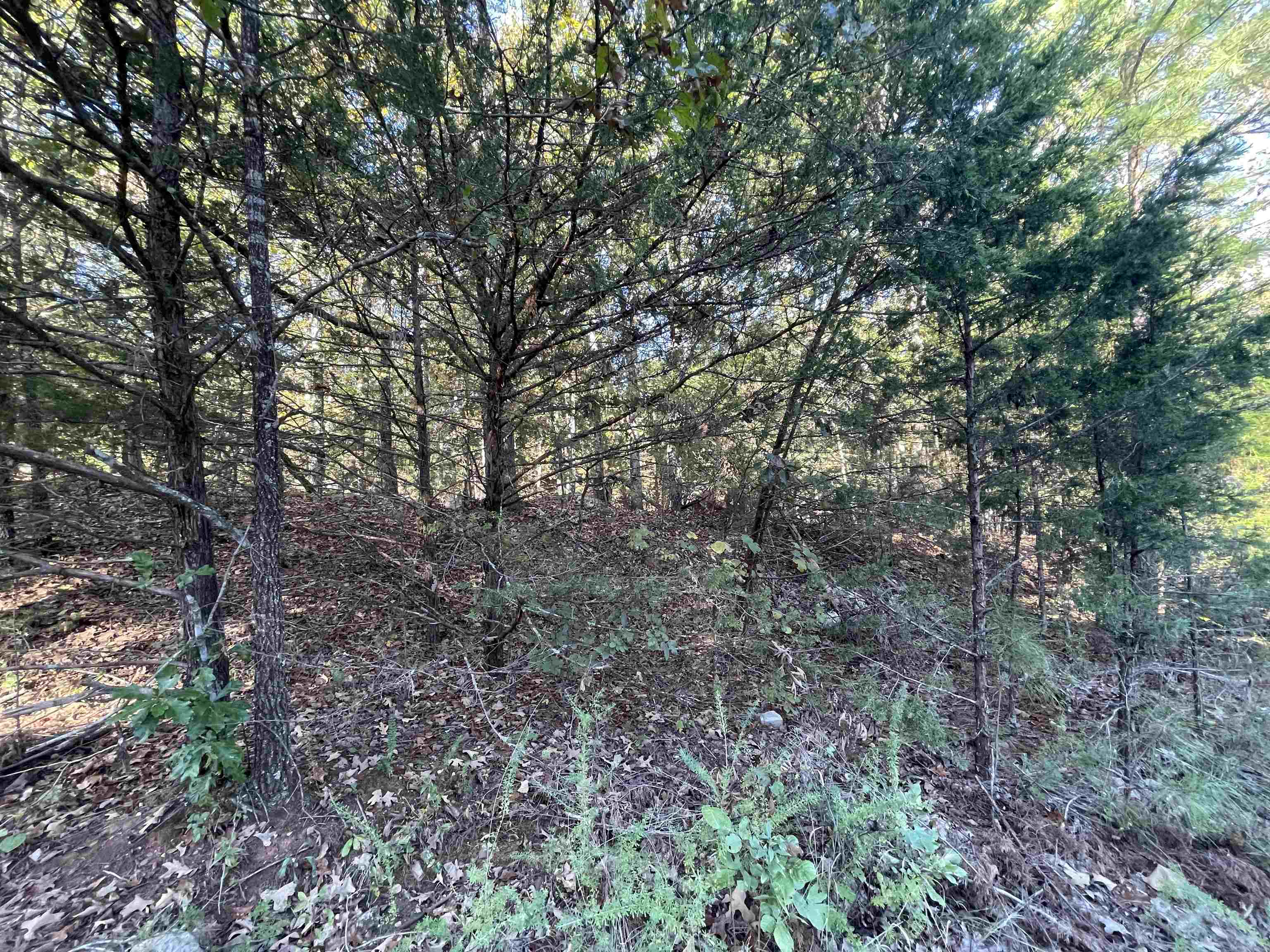 Photo 2 - Vacant Land for sale – 0  Piney Ridge   Glencoe, AR