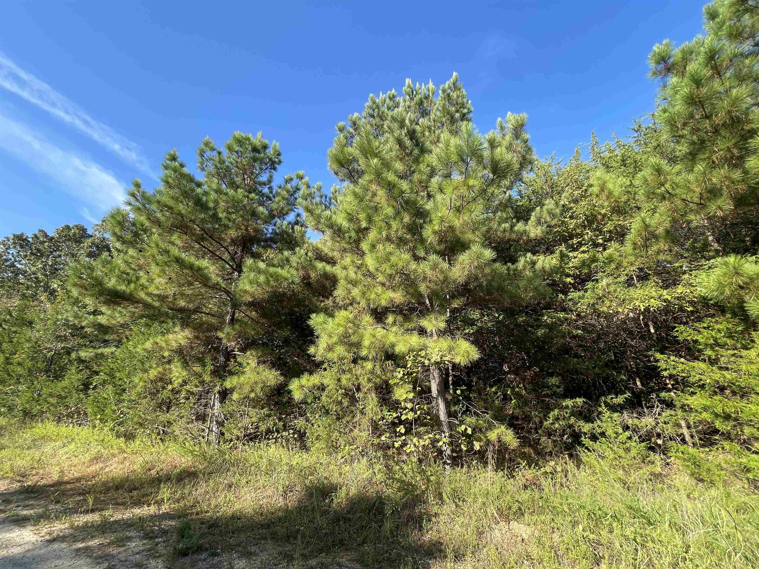 Photo 3 - Vacant Land for sale – 0  Piney Ridge   Glencoe, AR