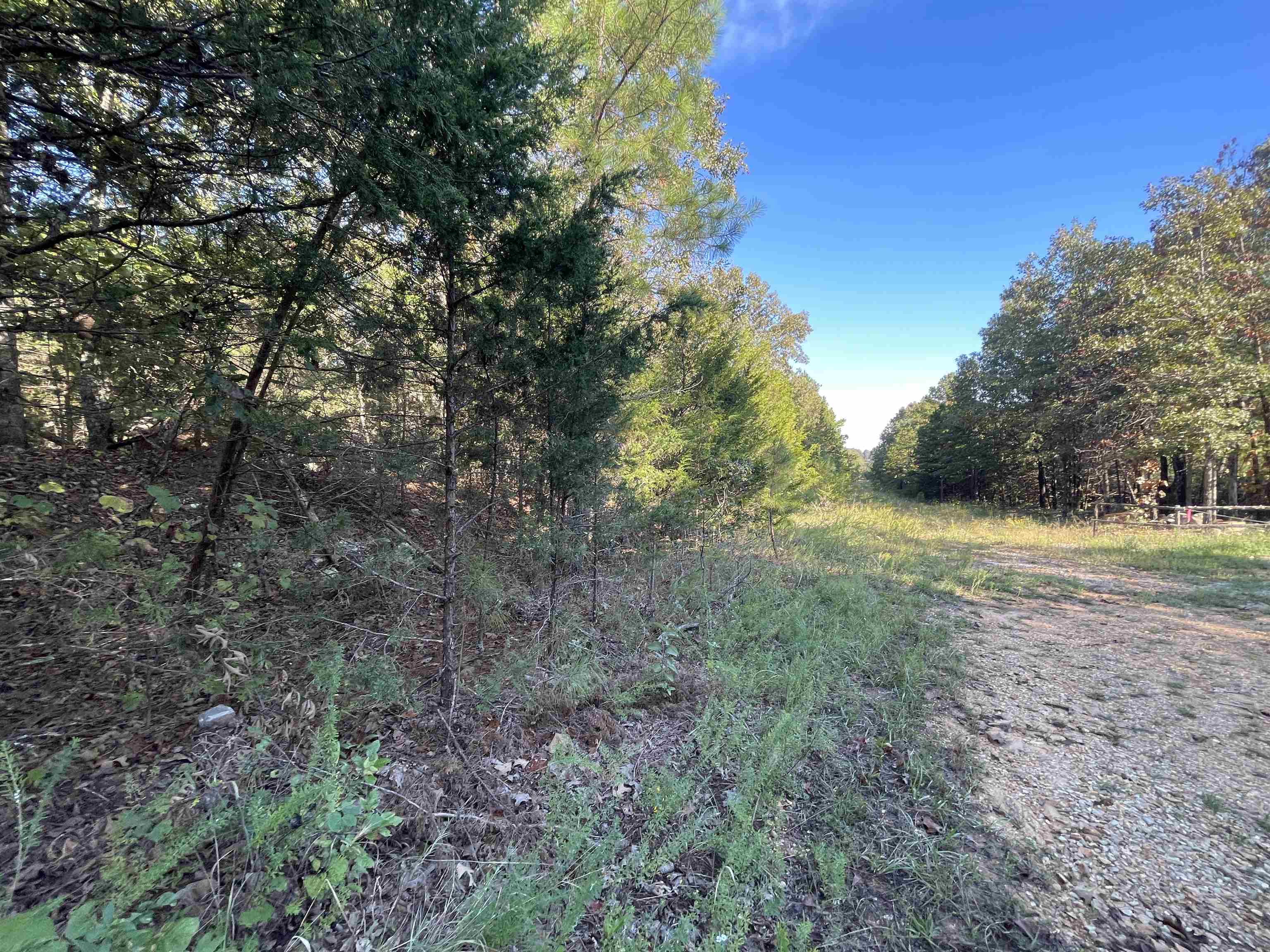 Photo 4 - Vacant Land for sale – 0  Piney Ridge   Glencoe, AR
