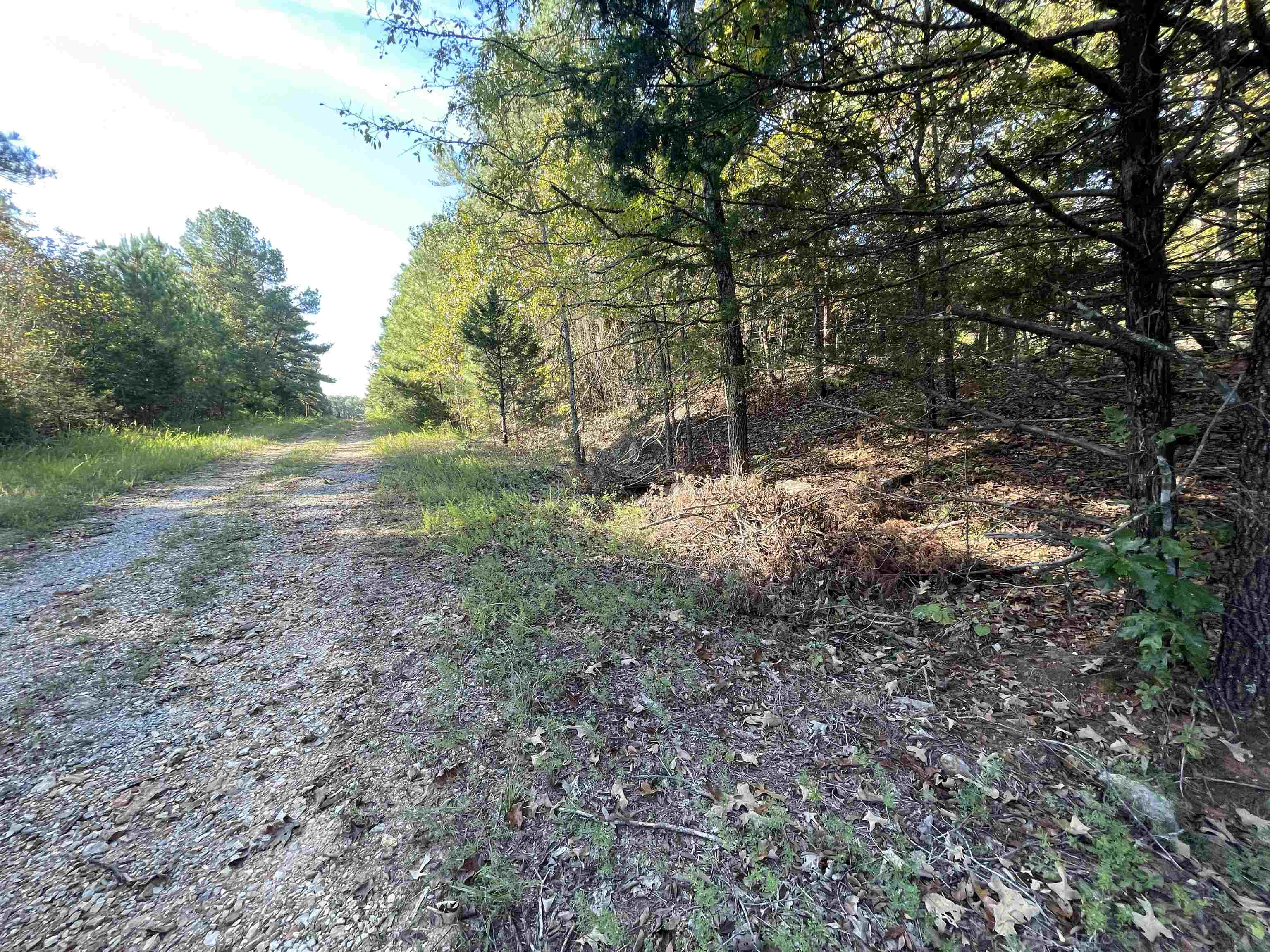 Photo 5 - Vacant Land for sale – 0  Piney Ridge   Glencoe, AR