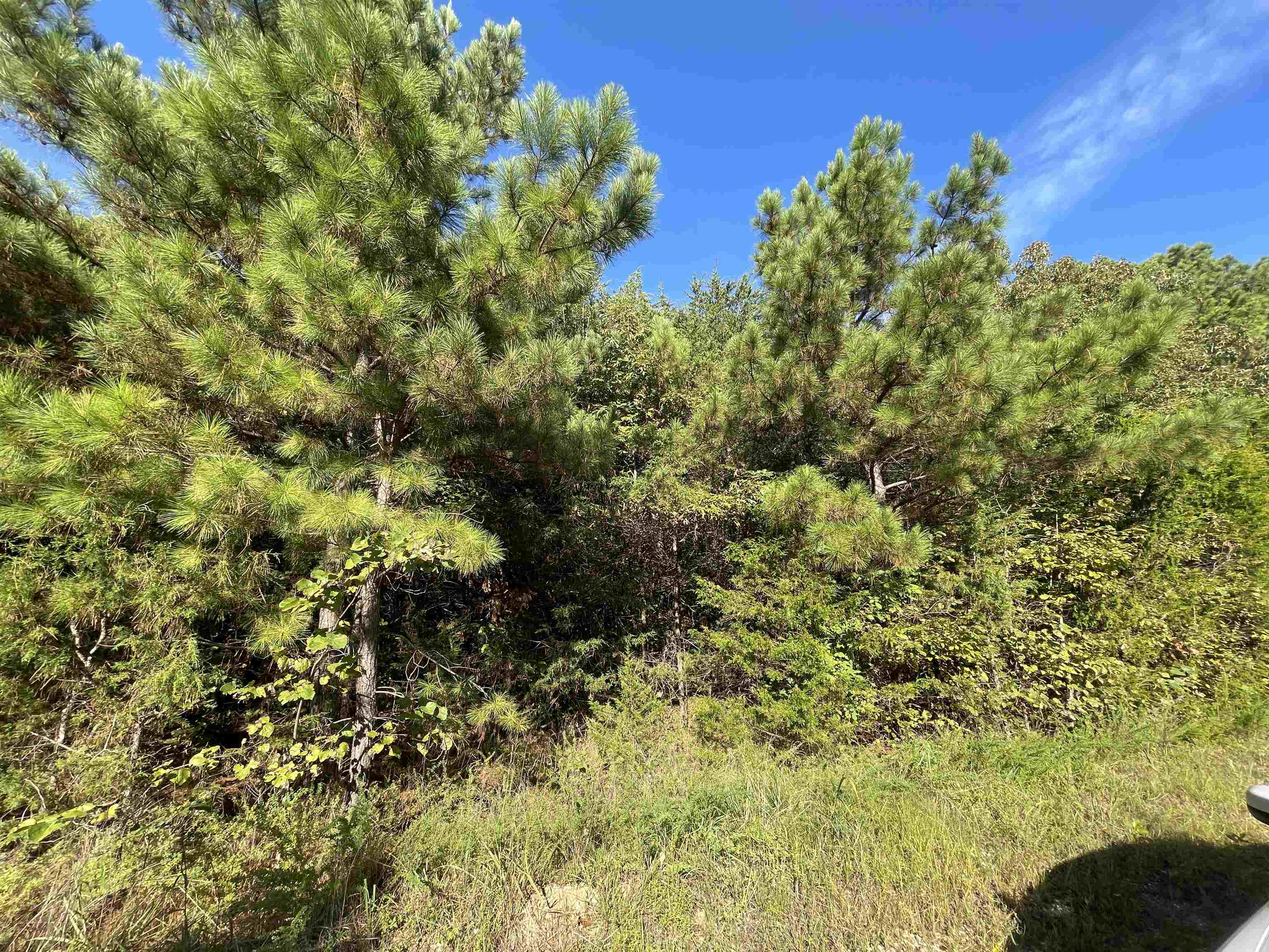 Photo 6 - Vacant Land for sale – 0  Piney Ridge   Glencoe, AR