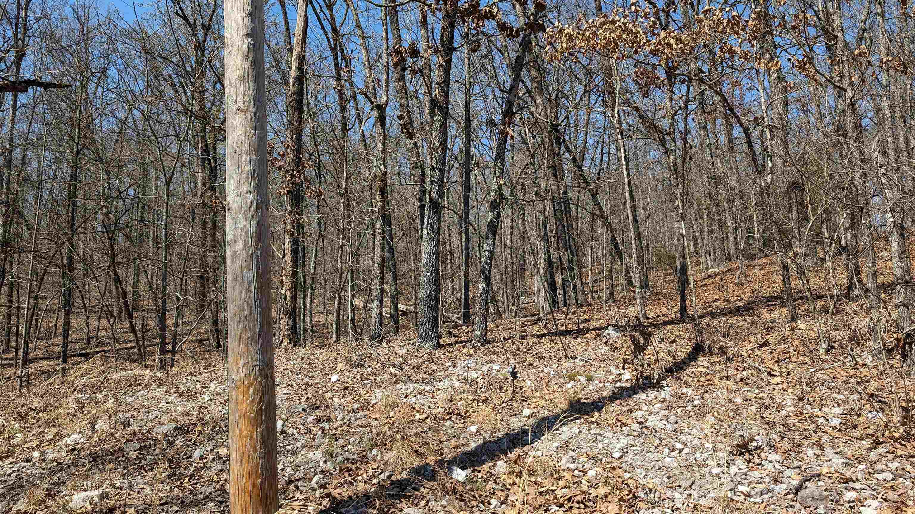 Vacant Land for sale – 31  Ridgecrest   Highland, AR