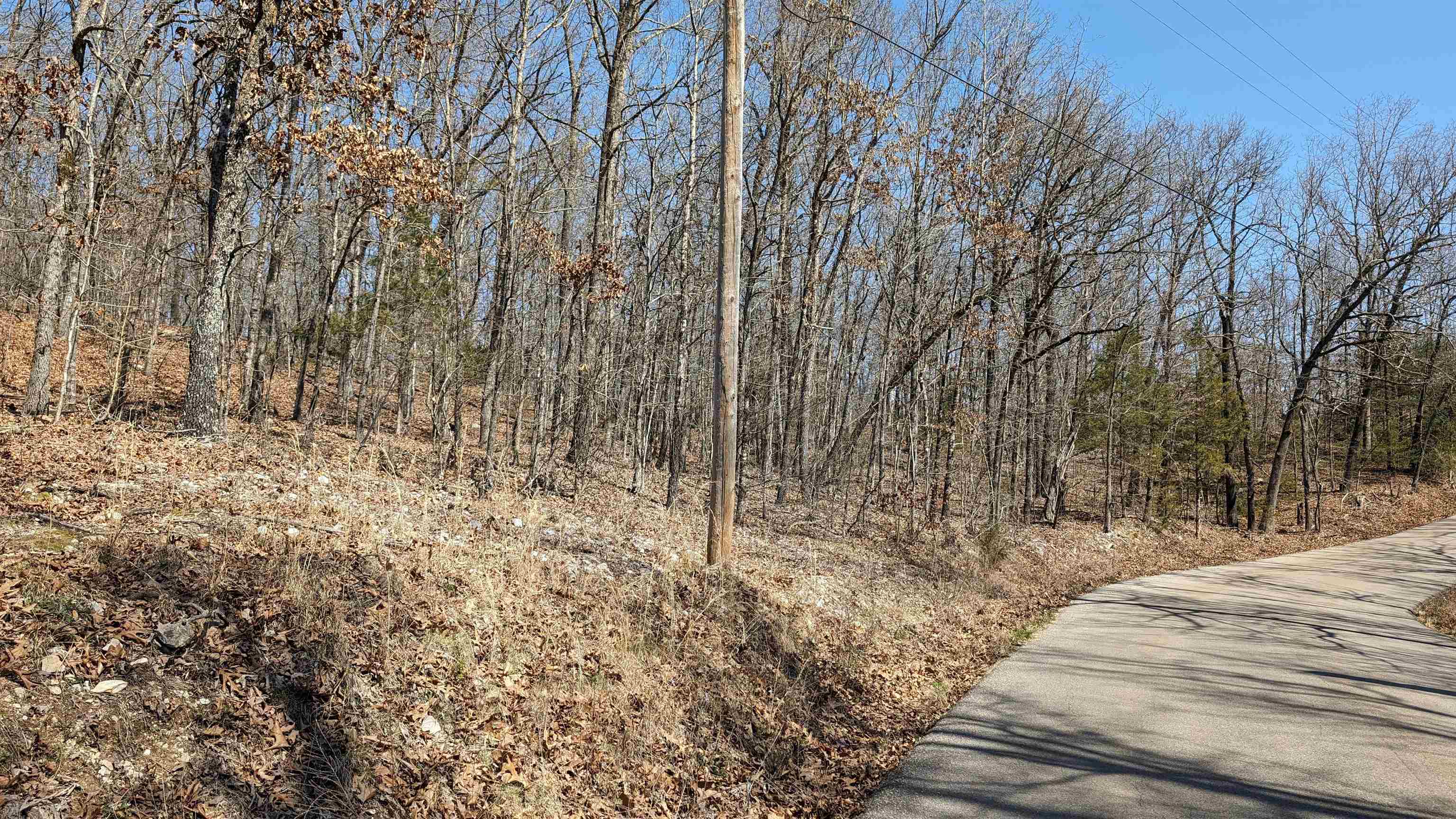 Photo 2 - Vacant Land for sale – 31  Ridgecrest   Highland, AR