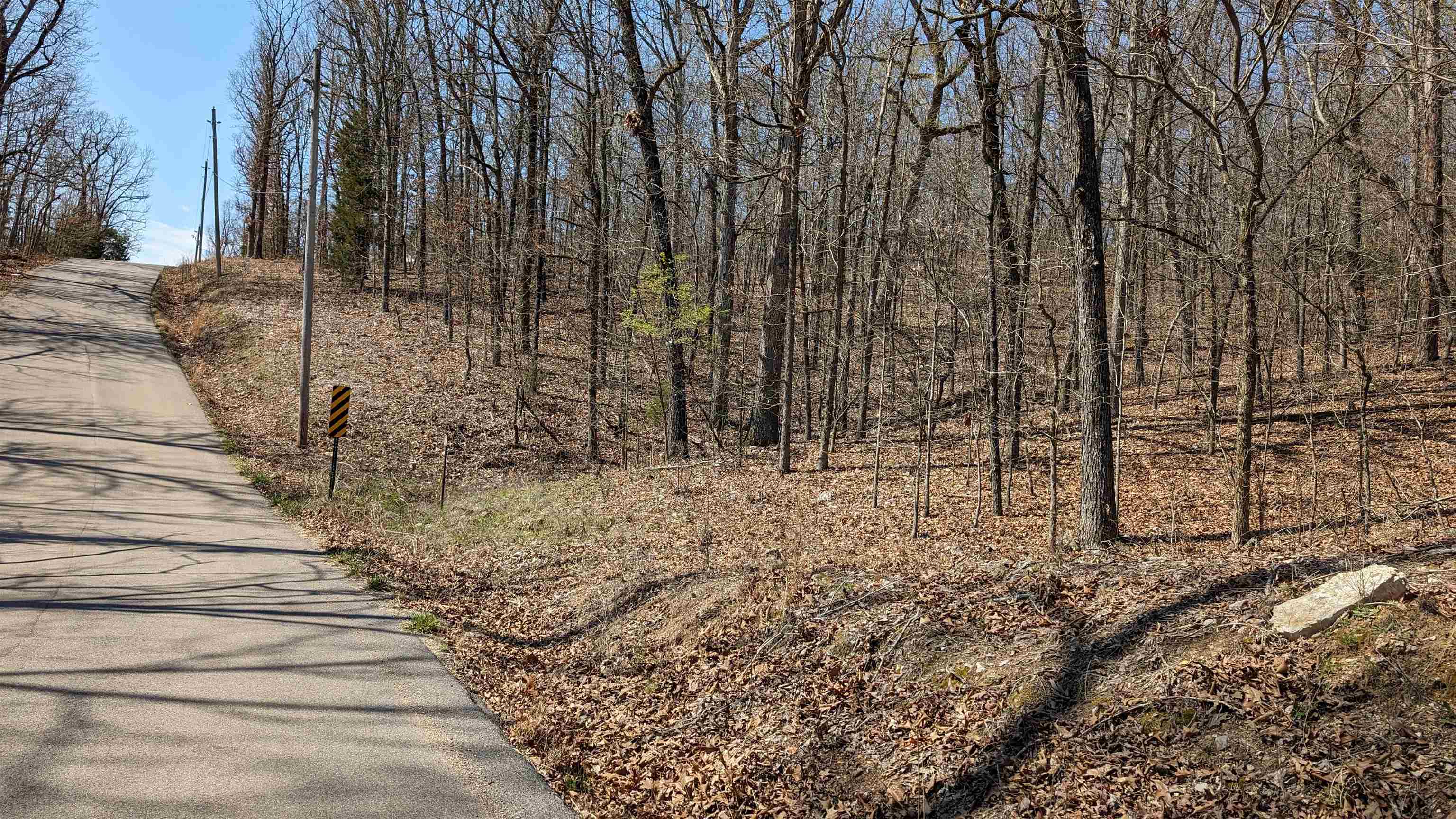 Photo 3 - Vacant Land for sale – 31  Ridgecrest   Highland, AR