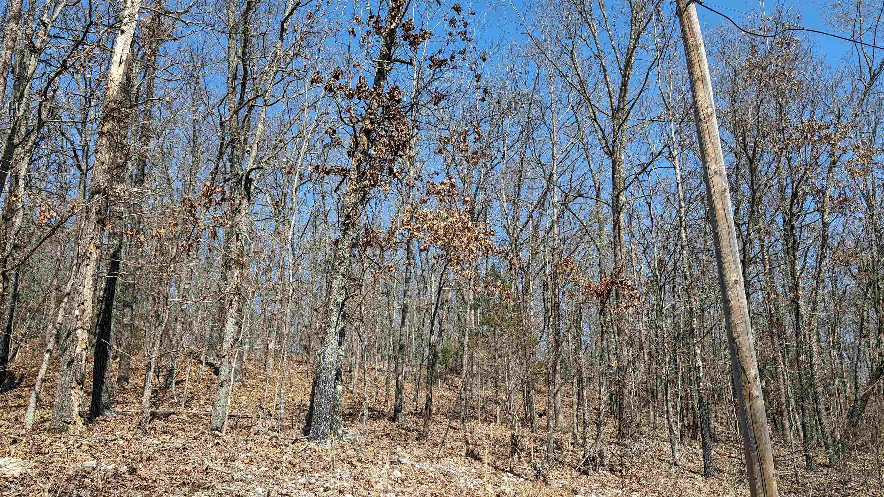Photo 5 - Vacant Land for sale – 31  Ridgecrest   Highland, AR