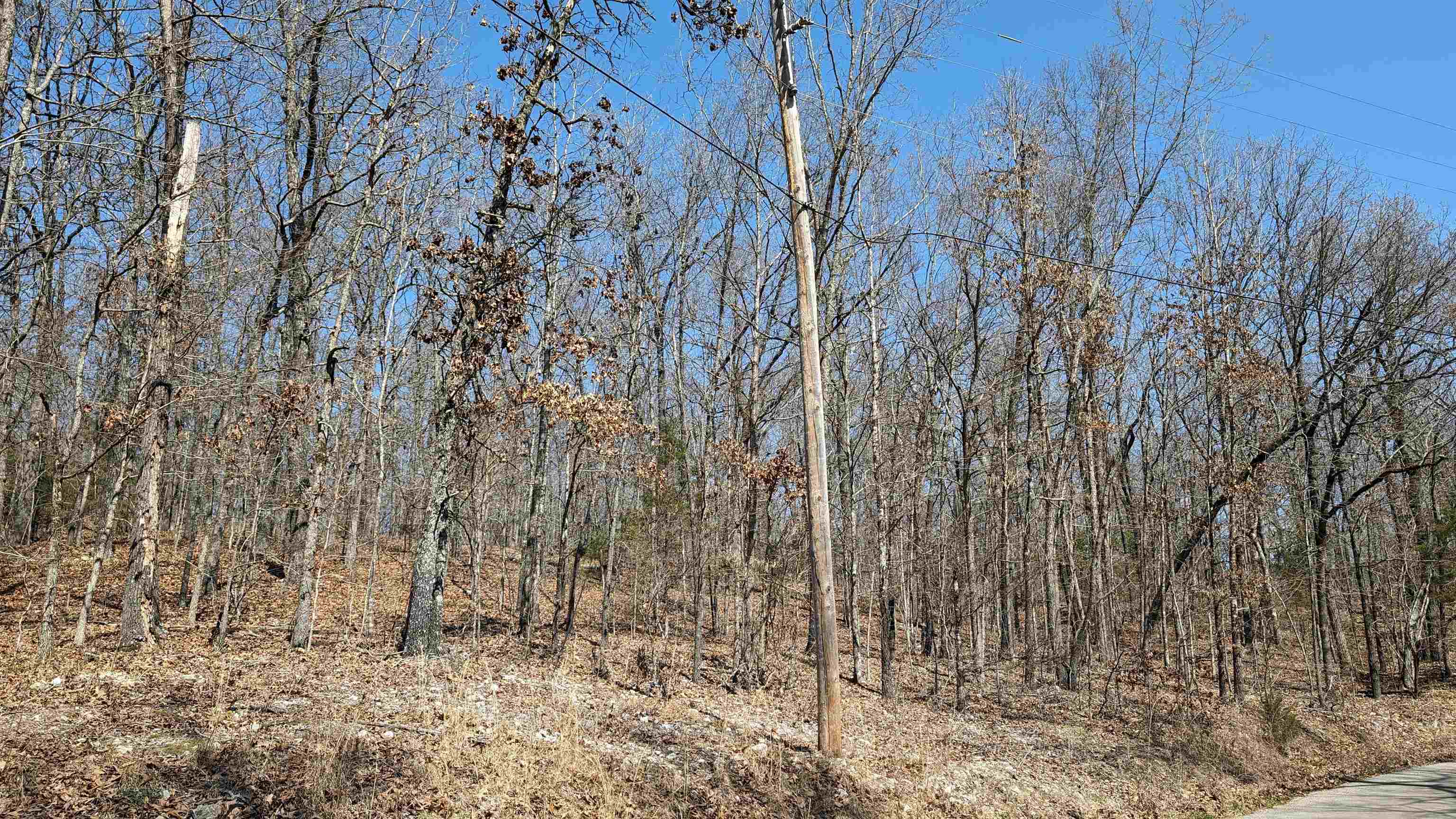 Photo 6 - Vacant Land for sale – 31  Ridgecrest   Highland, AR