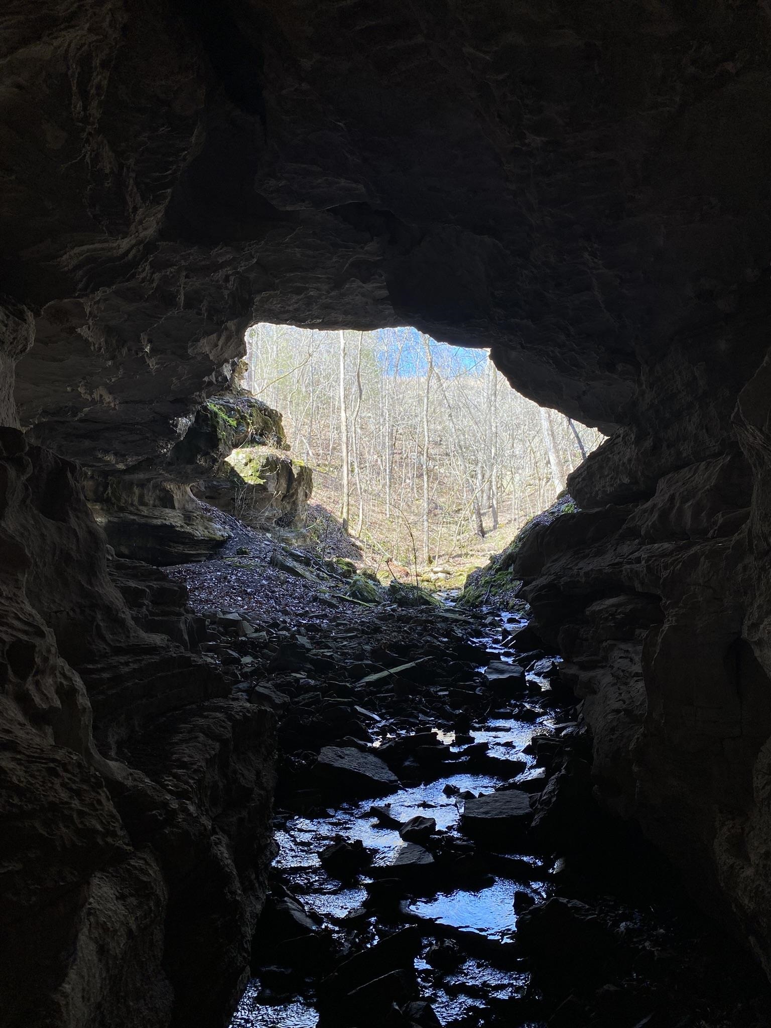 Photo 11 - Residential for sale – 702  Old Dolph   Calico Rock, AR