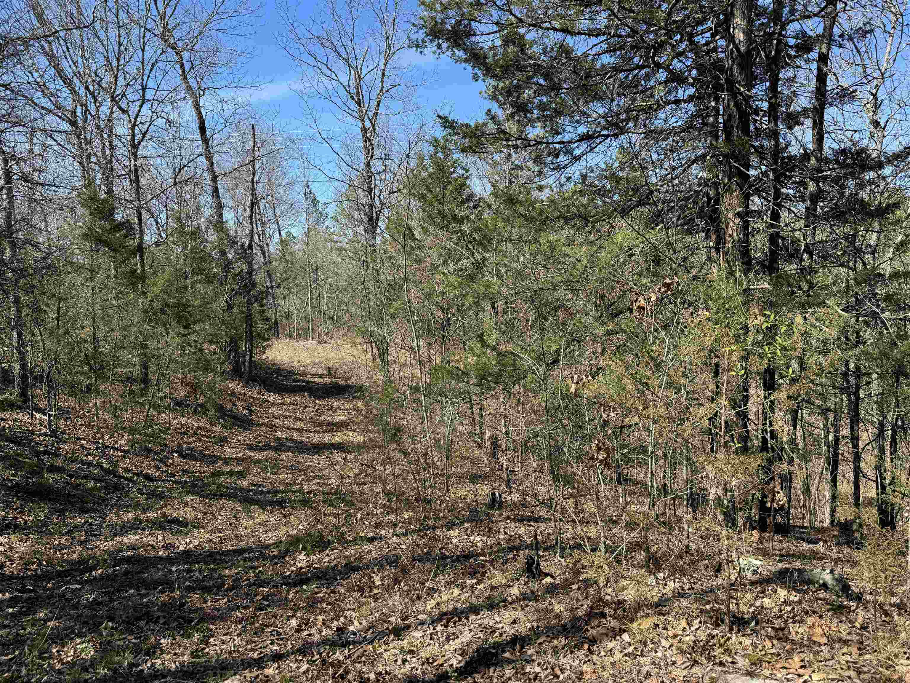 Photo 24 - Residential for sale – 702  Old Dolph   Calico Rock, AR