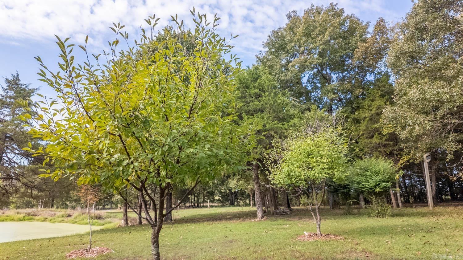 Photo 31 - Residential for sale – 902  Honeytree Lane   Camp, AR