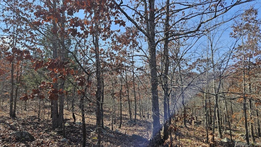 Photo 12 - Vacant Land for sale – FG  Rocky Road   Bradford, AR