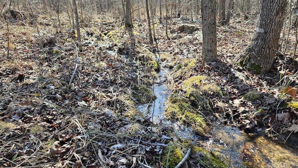 Photo 13 - Vacant Land for sale – FG  Rocky Road   Bradford, AR
