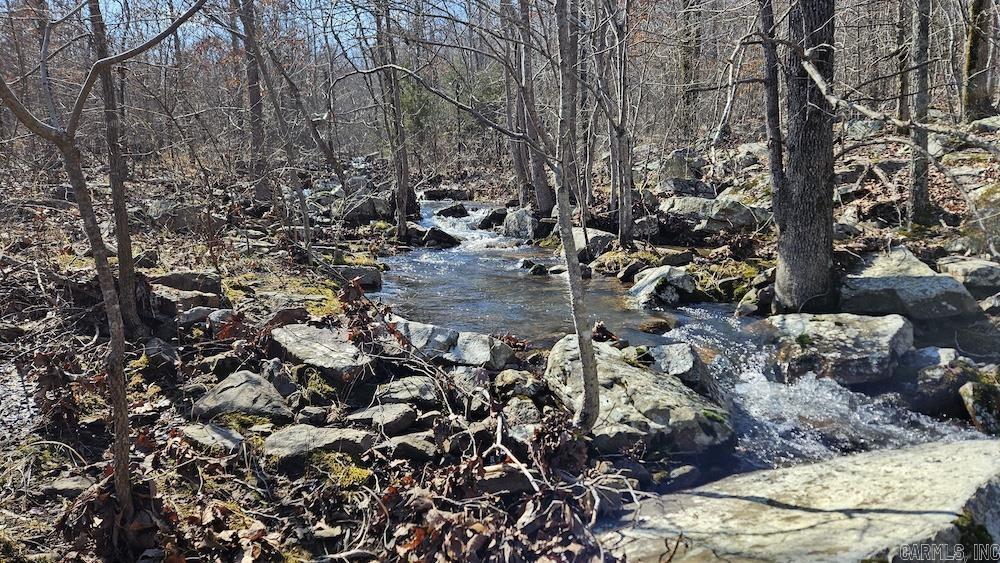 Photo 14 - Vacant Land for sale – FG  Rocky Road   Bradford, AR