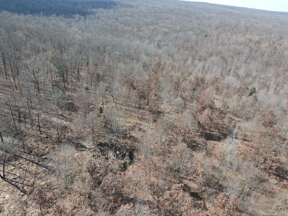 Photo 19 - Vacant Land for sale – FG  Rocky Road   Bradford, AR