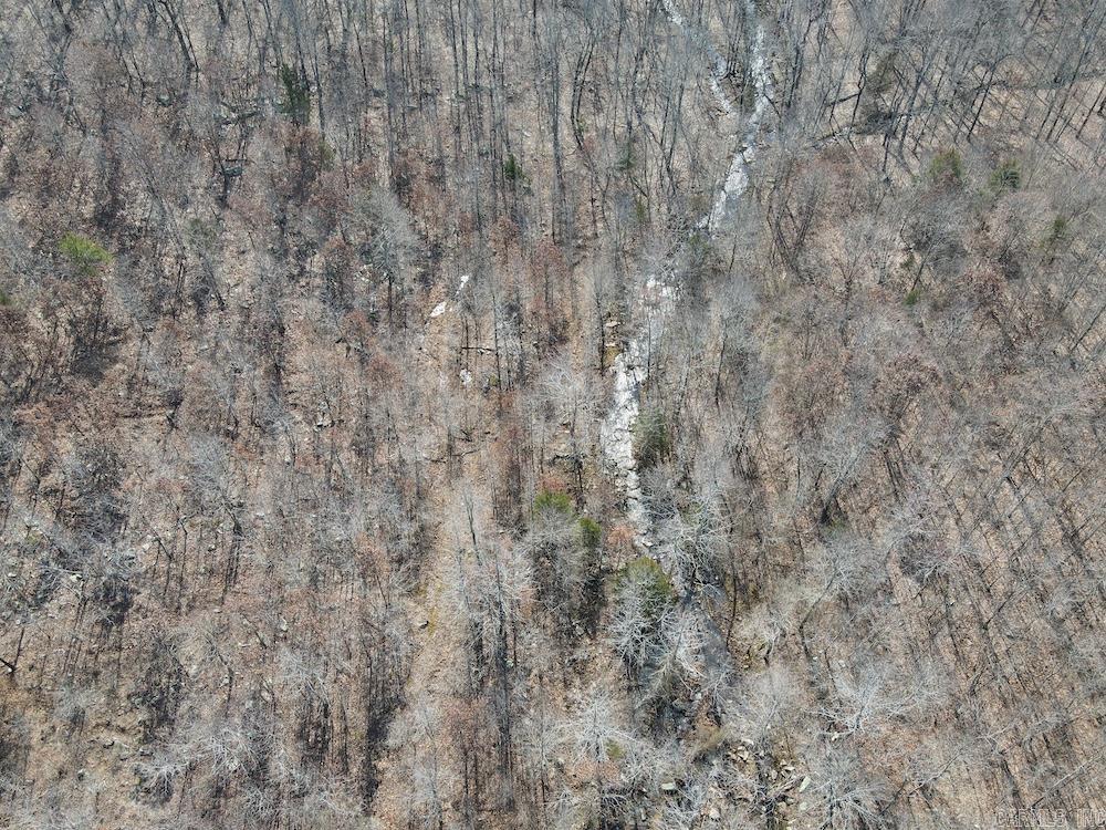 Photo 3 - Vacant Land for sale – FG  Rocky Road   Bradford, AR