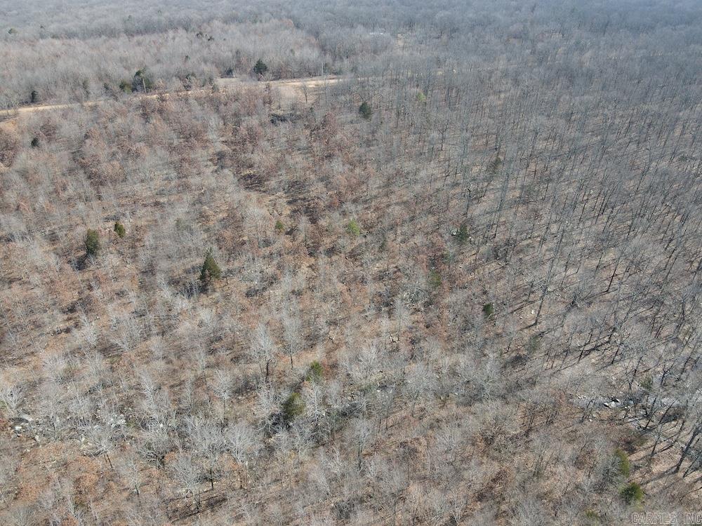 Photo 5 - Vacant Land for sale – FG  Rocky Road   Bradford, AR