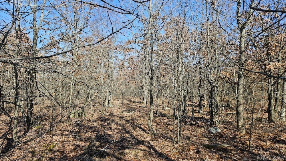 Photo 7 - Vacant Land for sale – FG  Rocky Road   Bradford, AR