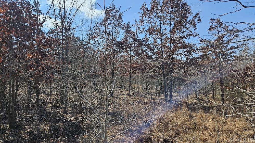 Photo 8 - Vacant Land for sale – FG  Rocky Road   Bradford, AR