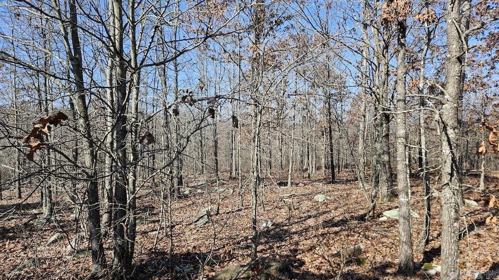 Photo 9 - Vacant Land for sale – FG  Rocky Road   Bradford, AR