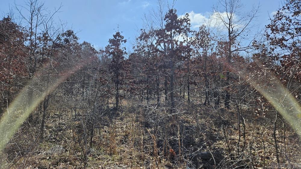Photo 10 - Vacant Land for sale – FG  Rocky Road   Bradford, AR