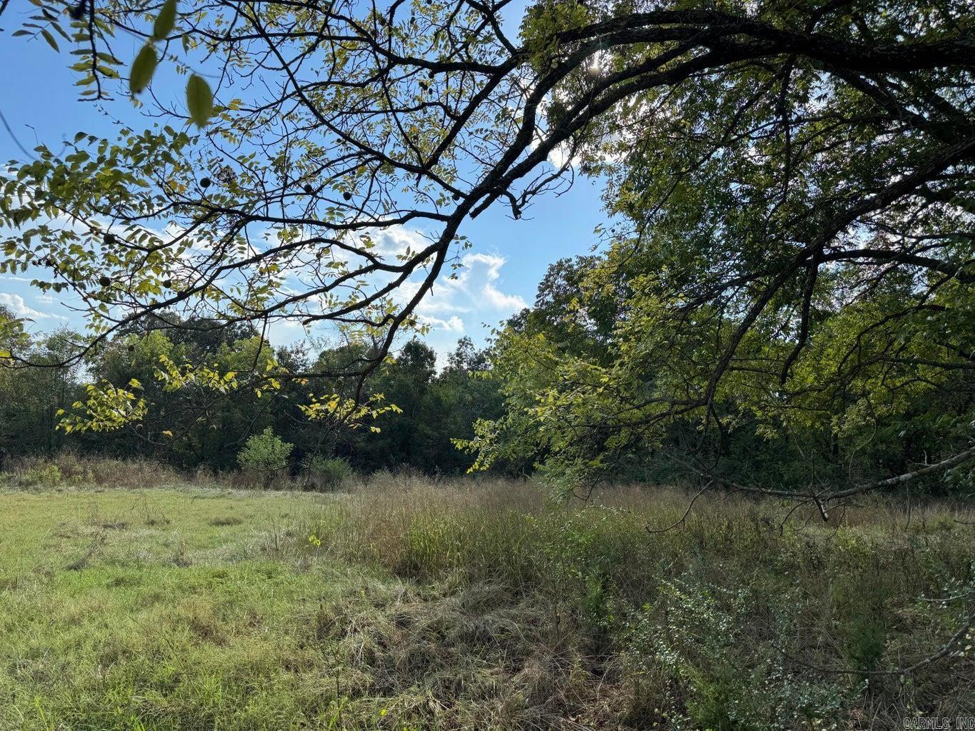Photo 2 - Vacant Land for sale – 30  Church   Ash Flat, AR