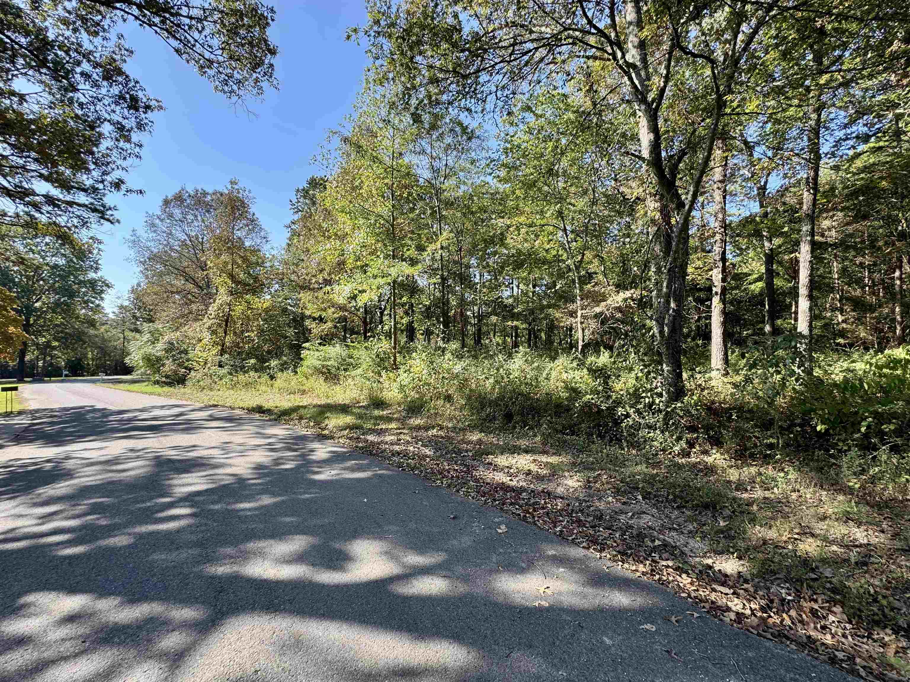 Vacant Land for sale – Lot 16  Camp Road   Melbourne, AR