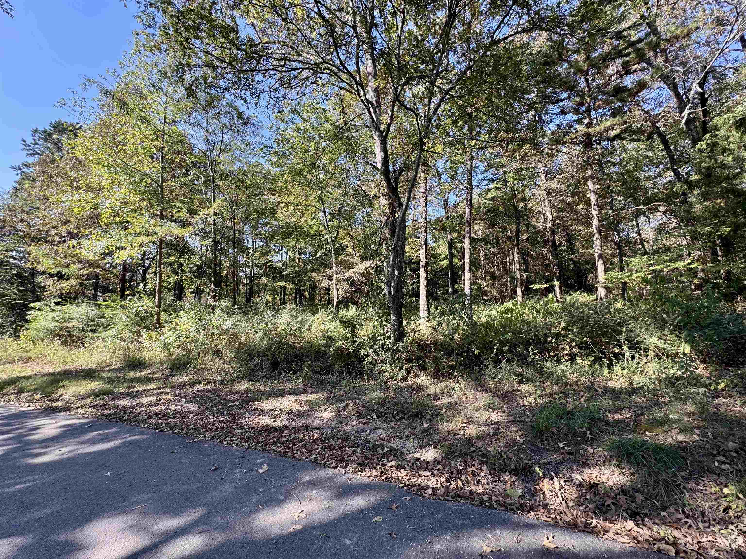 Photo 2 - Vacant Land for sale – Lot 16  Camp Road   Melbourne, AR