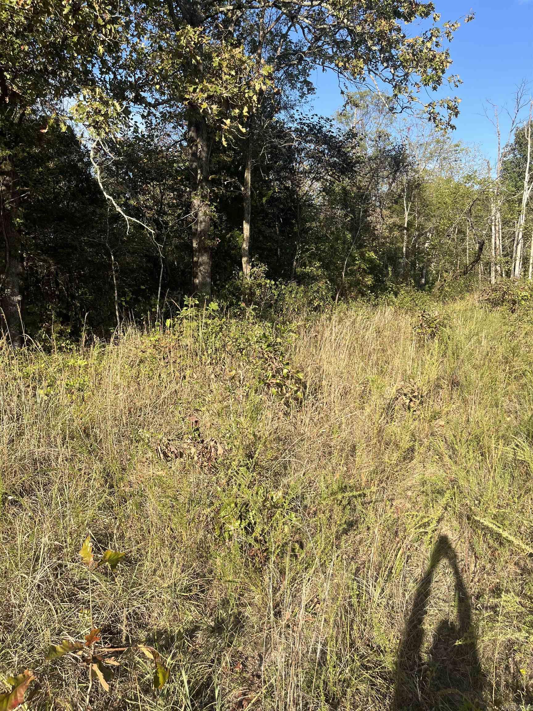 Vacant Land for sale – 2  Silver Fox Ridge Road   Salem, AR
