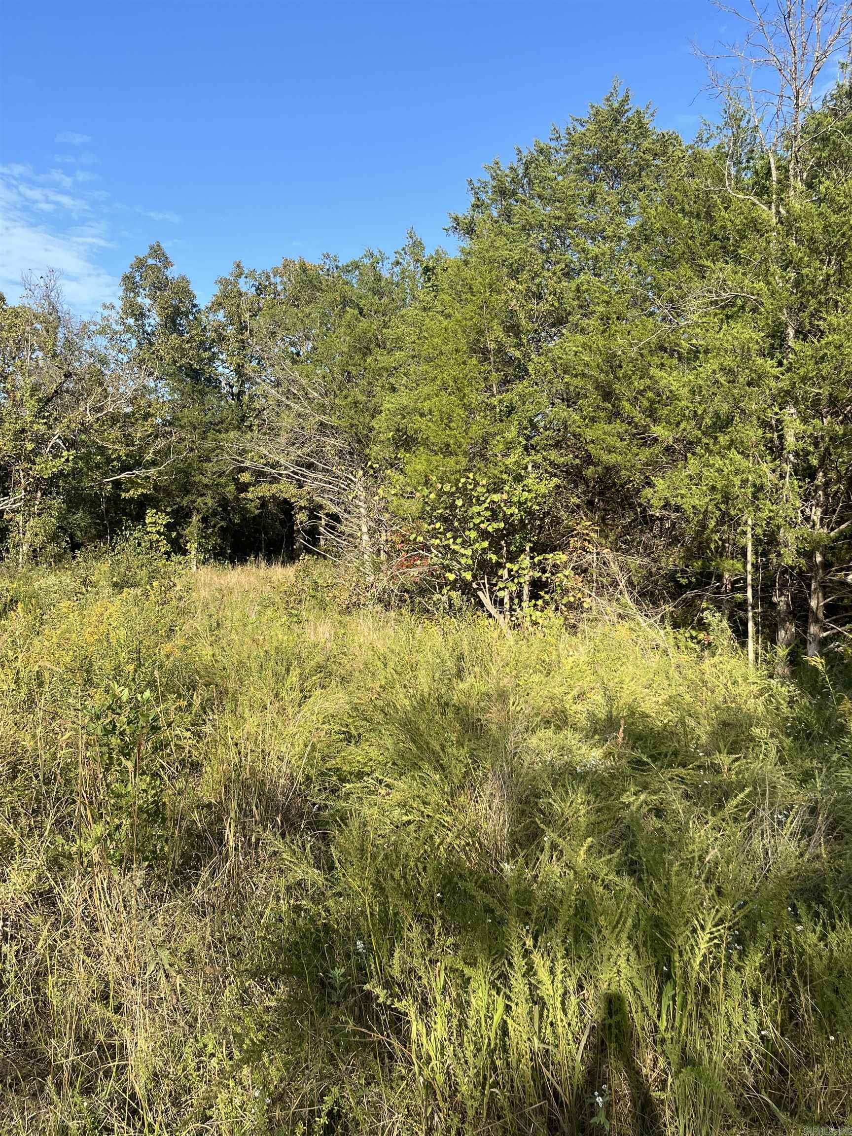 Photo 2 - Vacant Land for sale – 2  Silver Fox Ridge Road   Salem, AR