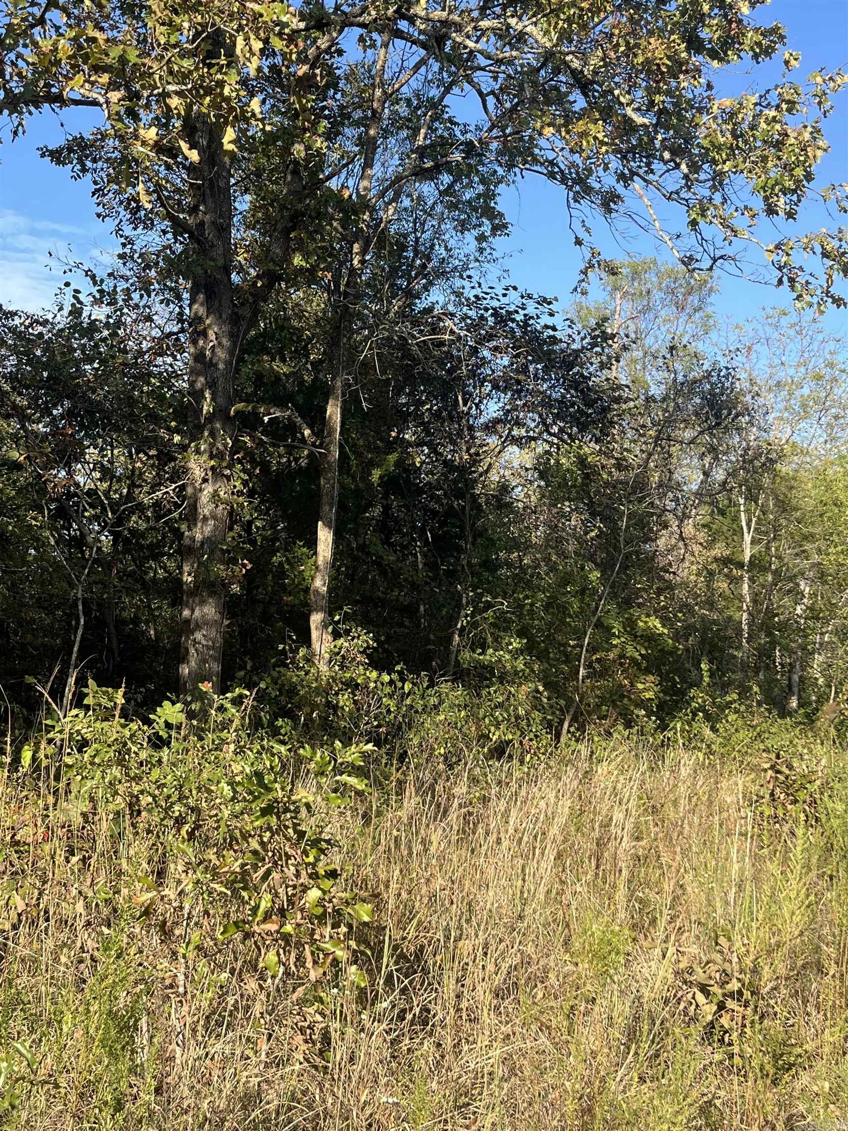 Photo 3 - Vacant Land for sale – 2  Silver Fox Ridge Road   Salem, AR