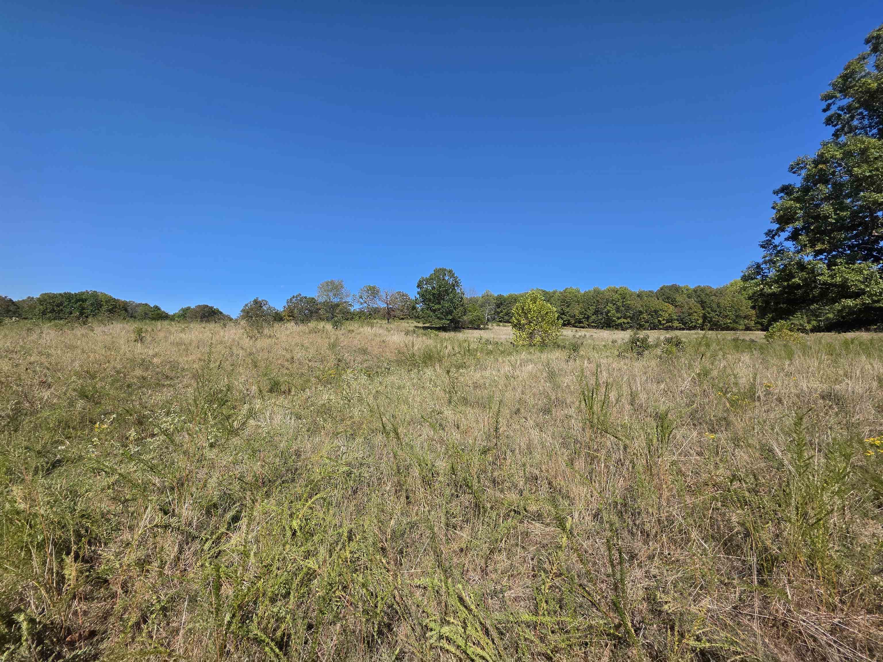 Photo 2 - Vacant Land for sale – 3013-3015  Possum Trot   Ash Flat, AR