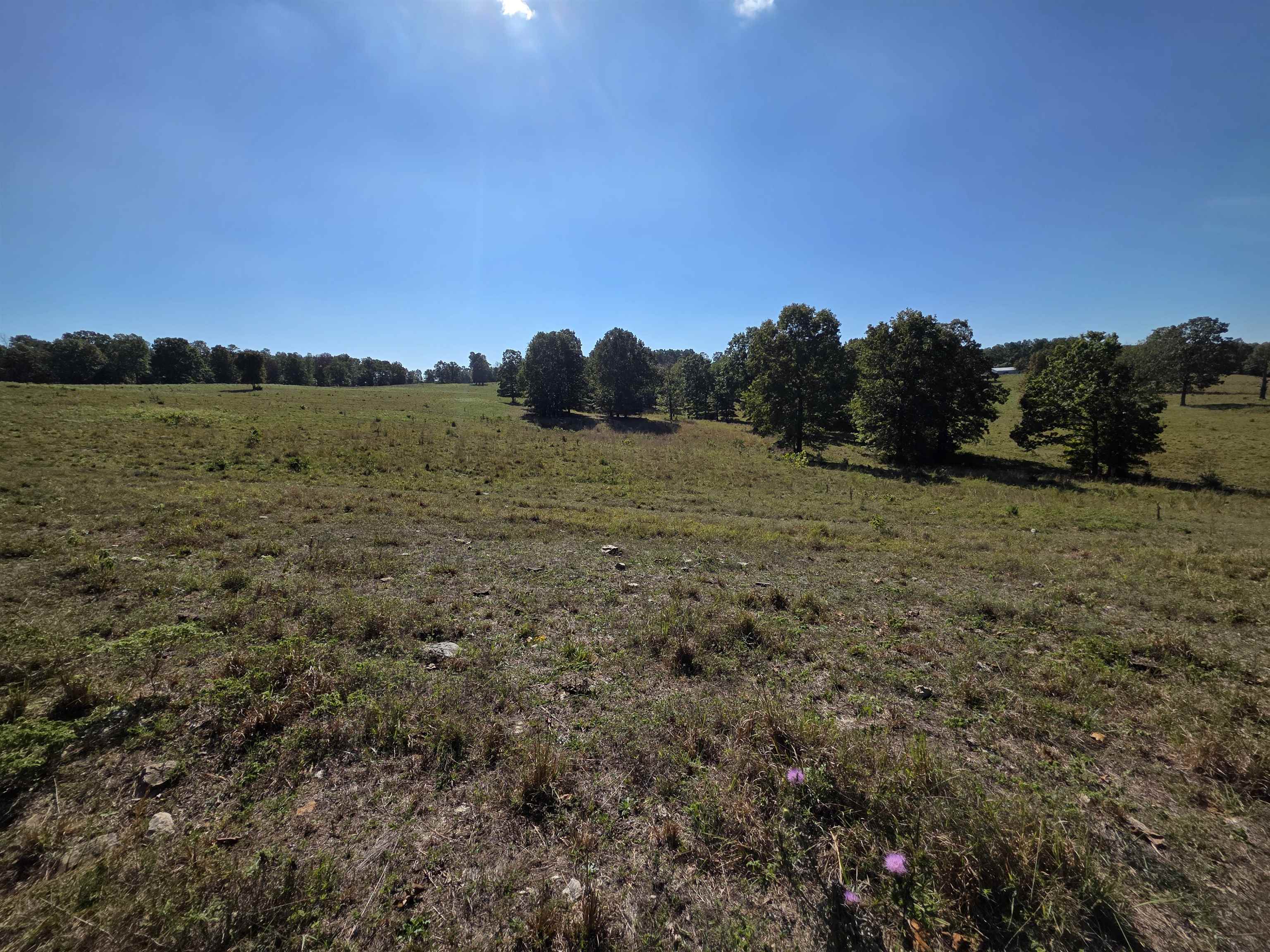 Photo 11 - Vacant Land for sale – 3013-3015  Possum Trot   Ash Flat, AR
