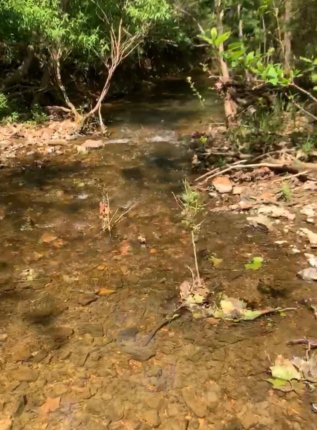 Photo 11 - Vacant Land for sale – 3013-3015  Possum Trot   Ash Flat, AR