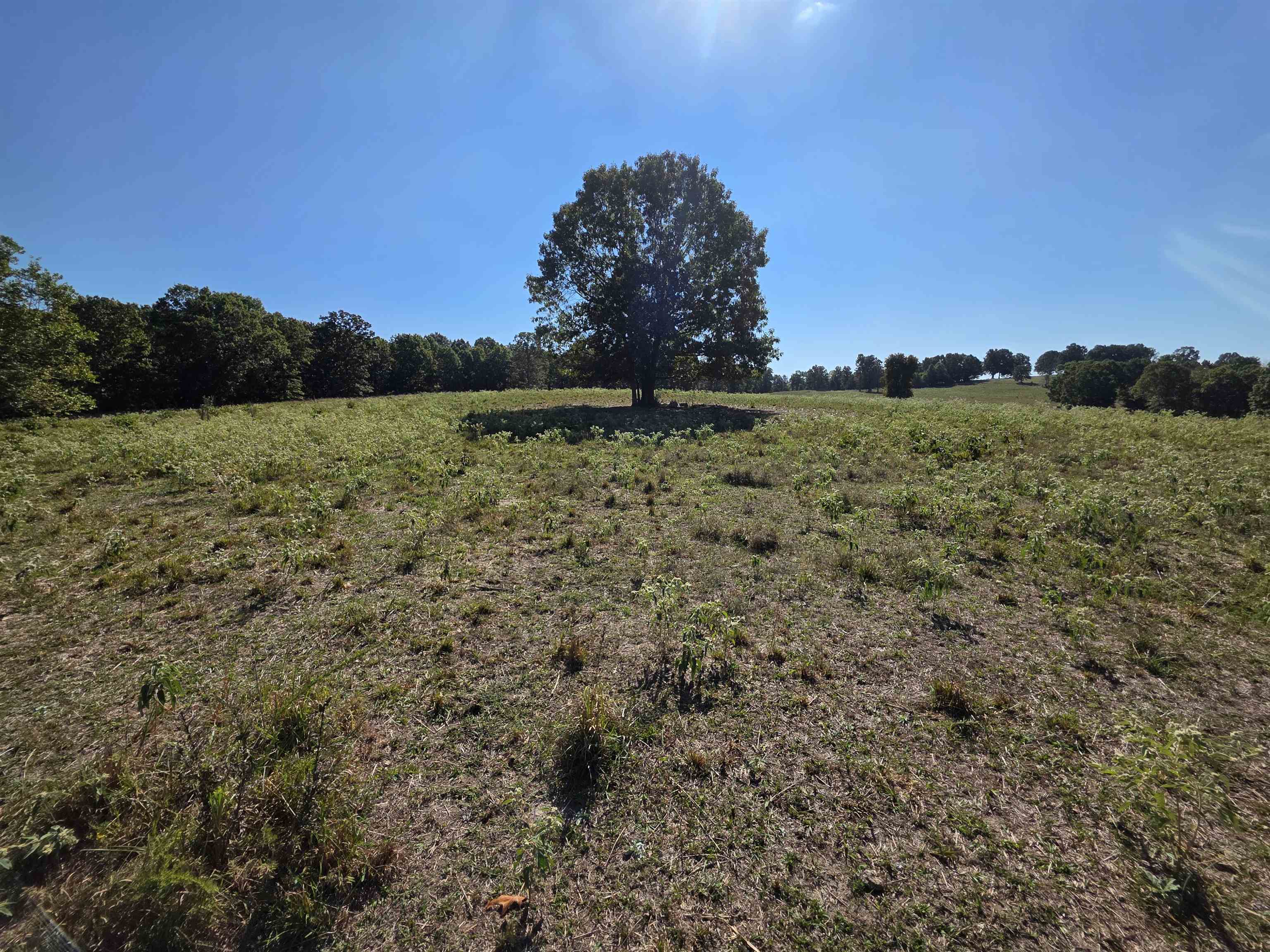Photo 12 - Vacant Land for sale – 3013-3015  Possum Trot   Ash Flat, AR