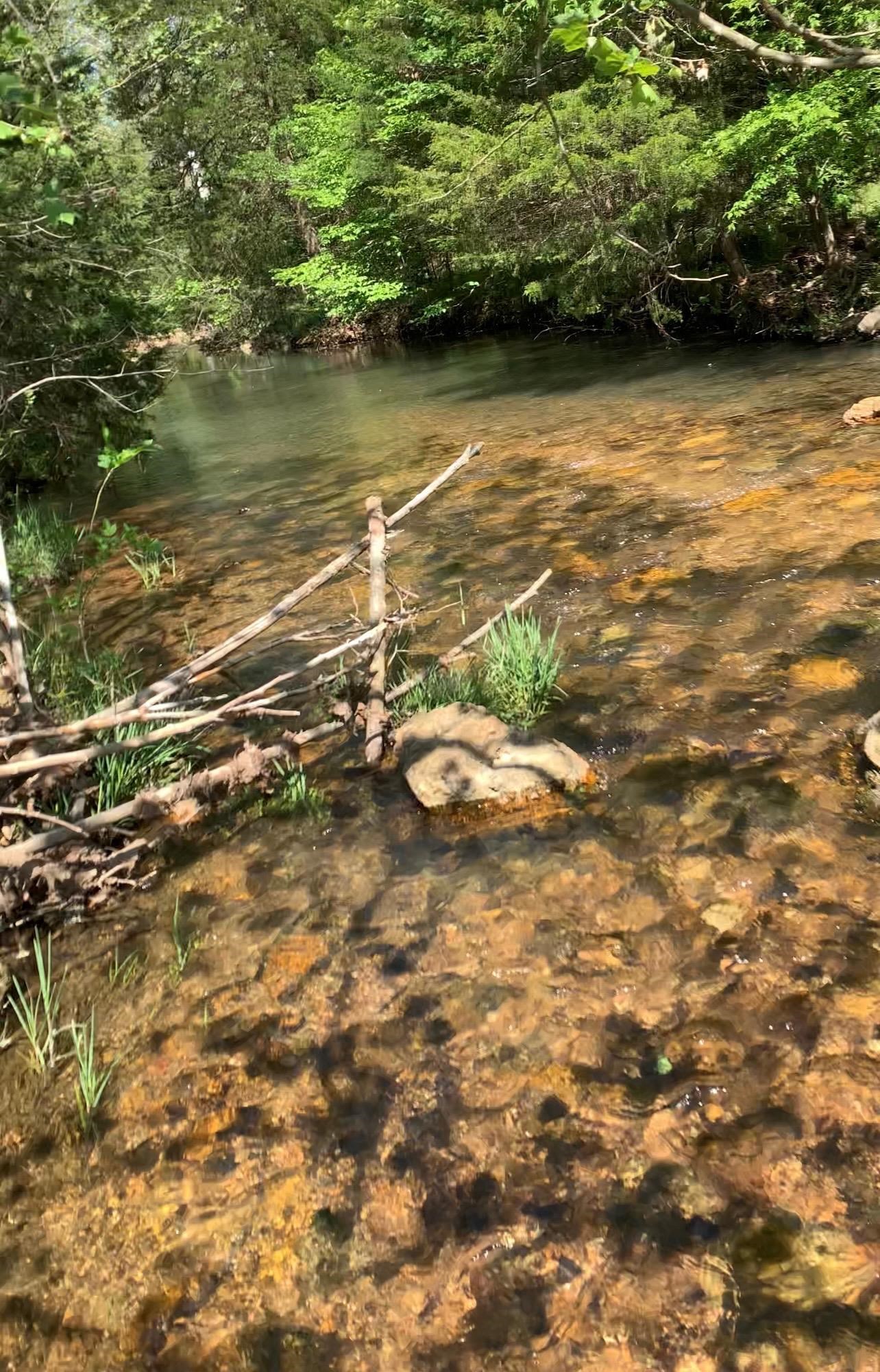 Photo 12 - Vacant Land for sale – 3013-3015  Possum Trot   Ash Flat, AR